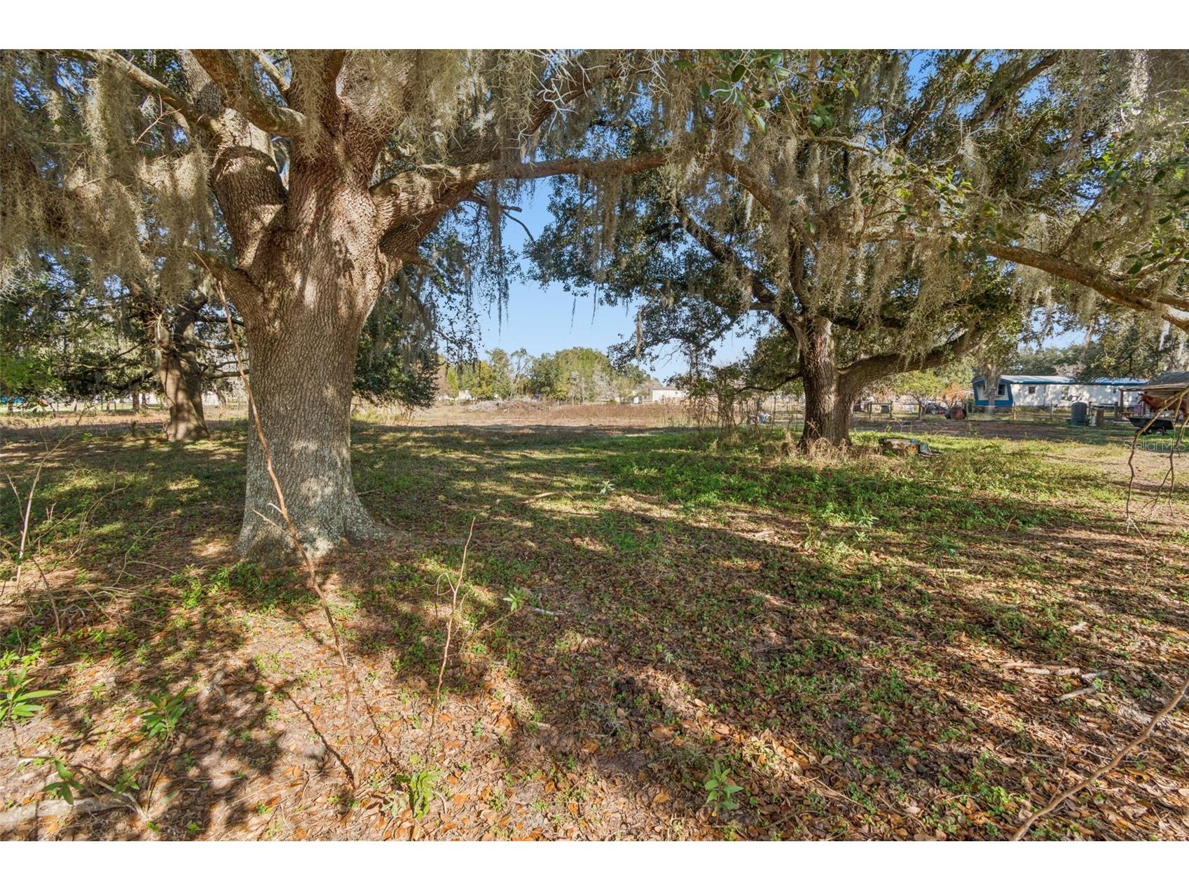 28538 Rice Road San Antonio FL 33576 TB8463035 image34