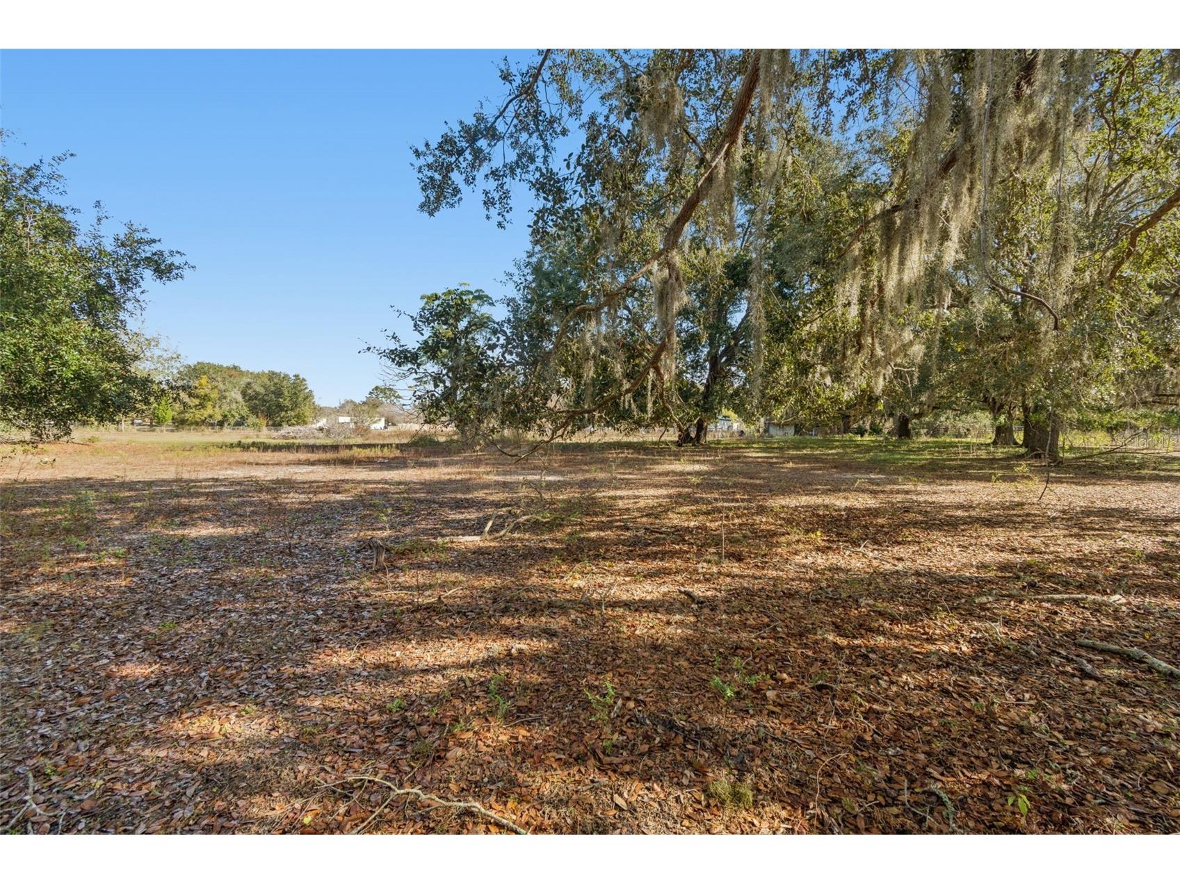 28538 Rice Road San Antonio FL 33576 TB8463035 image35