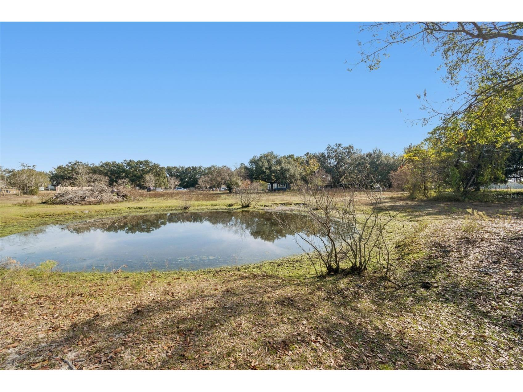 28538 Rice Road San Antonio FL 33576 TB8463035 image36