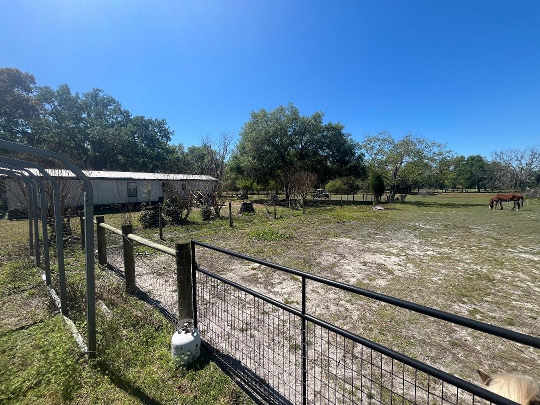 28538 Rice Road San Antonio FL 33576 TB8463035 image4