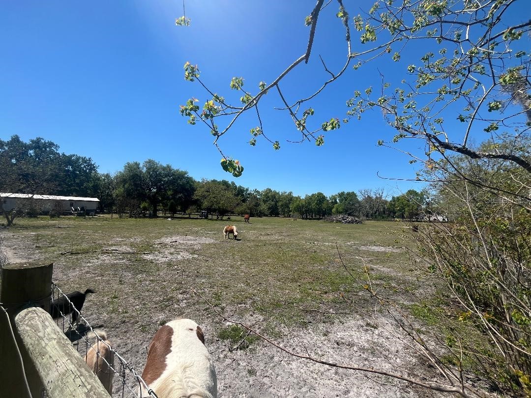 28538 Rice Road San Antonio FL 33576 TB8463035 image5