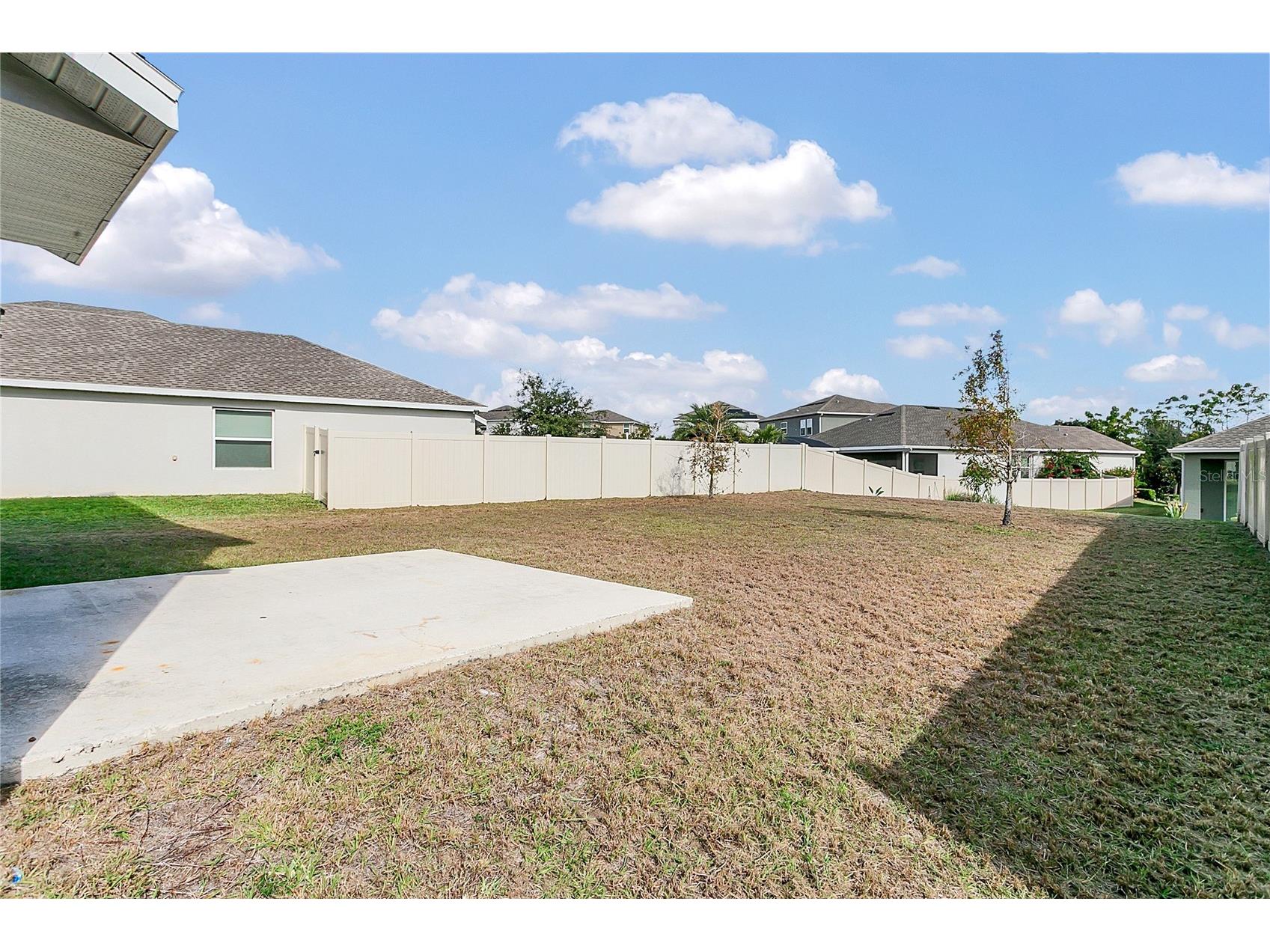 2854 Black Birch Drive Ocoee FL 34761 O6373169 image23