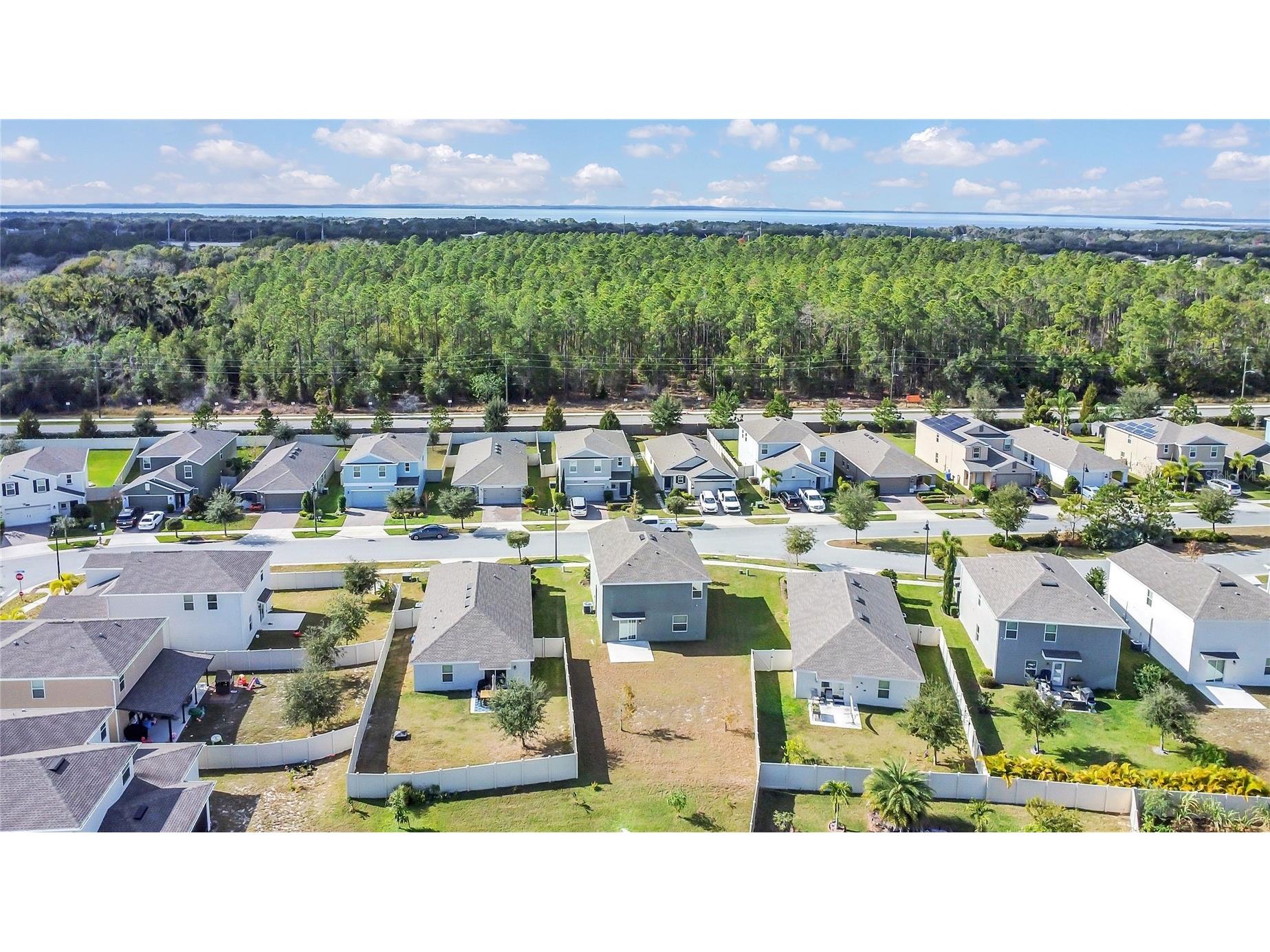 2854 Black Birch Drive Ocoee FL 34761 O6373169 image32