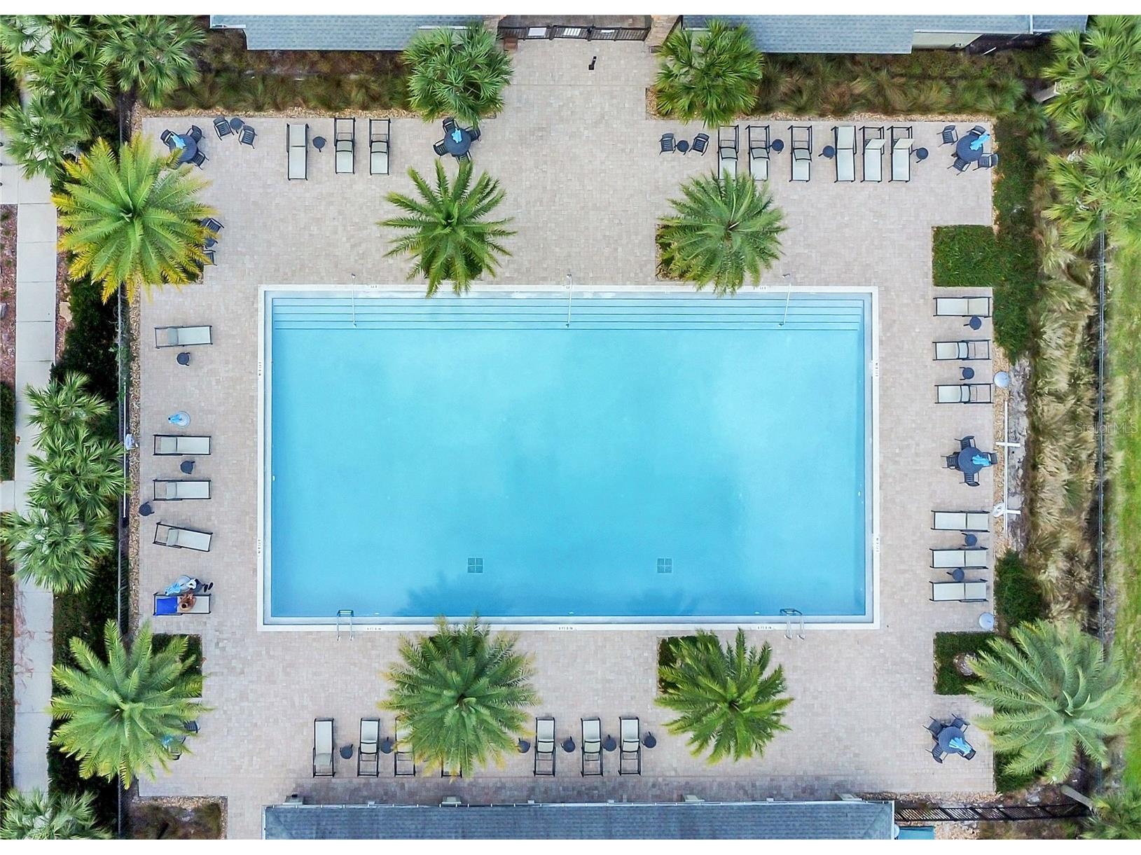 2854 Black Birch Drive Ocoee FL 34761 O6373169 image35