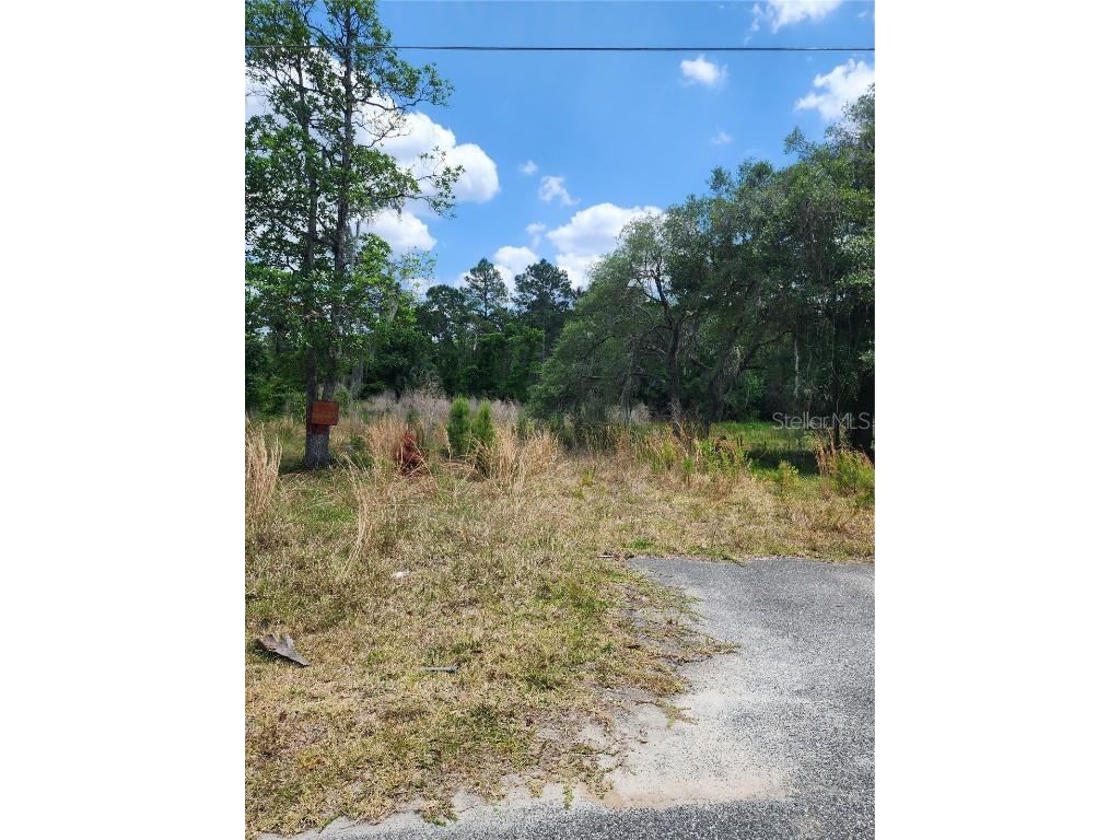 28540 Hibiscus Avenue Paisley FL 32767 V4936139 image1