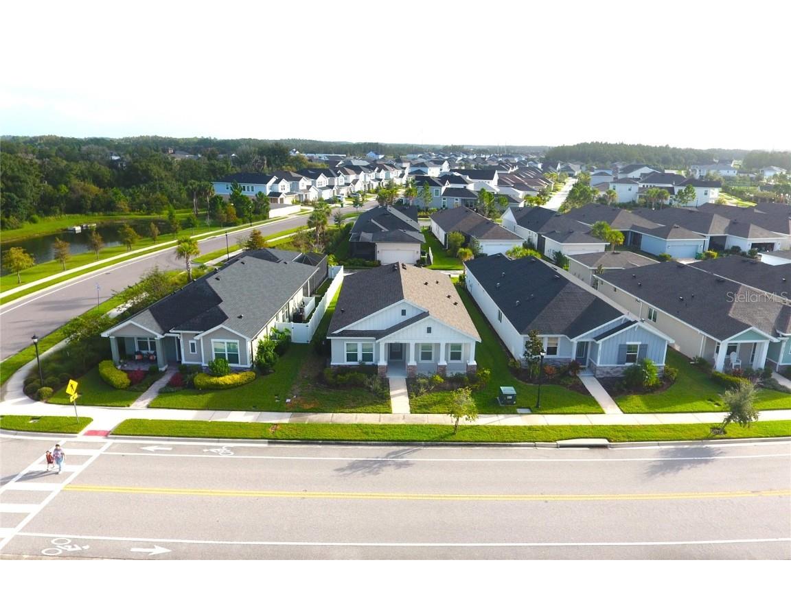 28547 Hillcrest Valley Boulevard Wesley Chapel FL 33543 TB8388801 image1