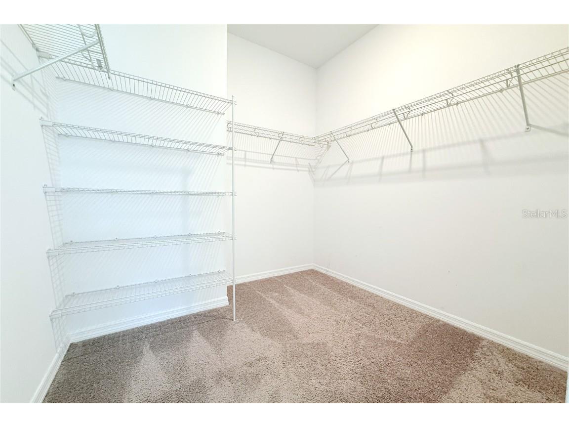 28547 Hillcrest Valley Boulevard Wesley Chapel FL 33543 TB8388801 image22