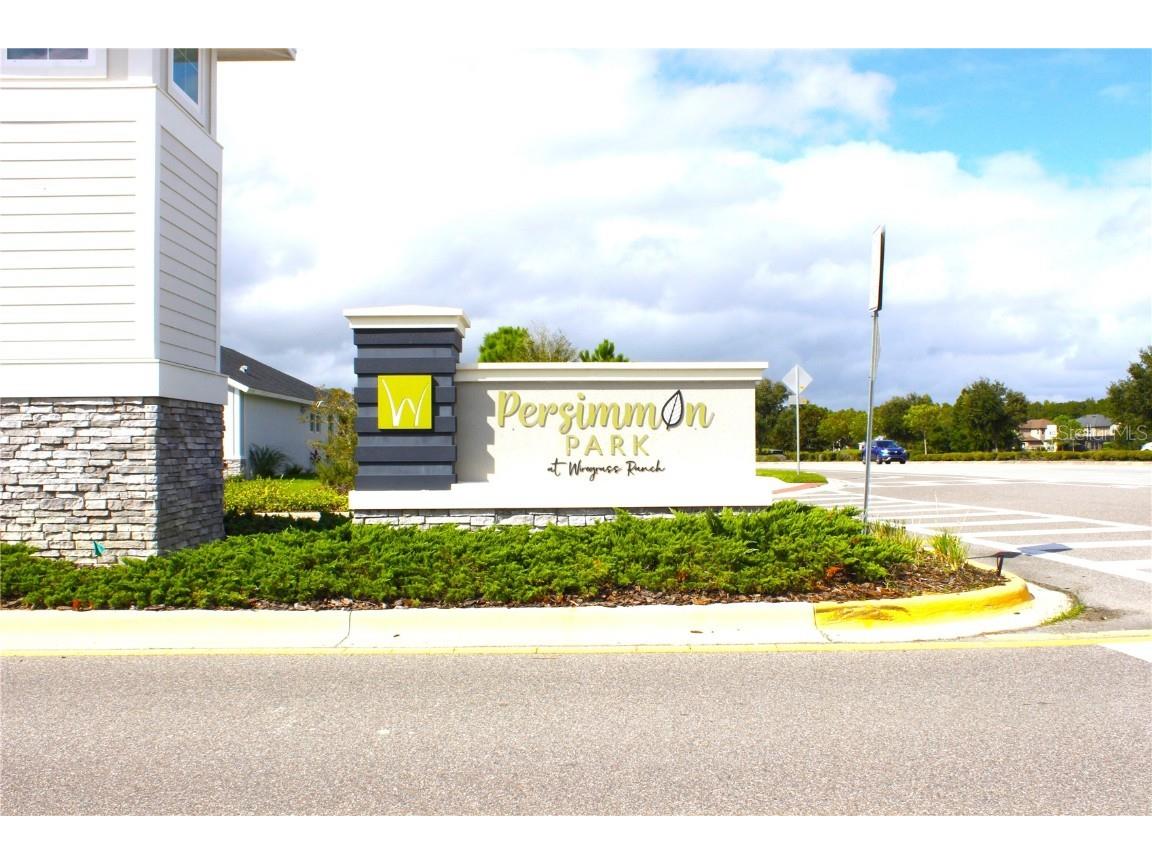 28547 Hillcrest Valley Boulevard Wesley Chapel FL 33543 TB8388801 image38