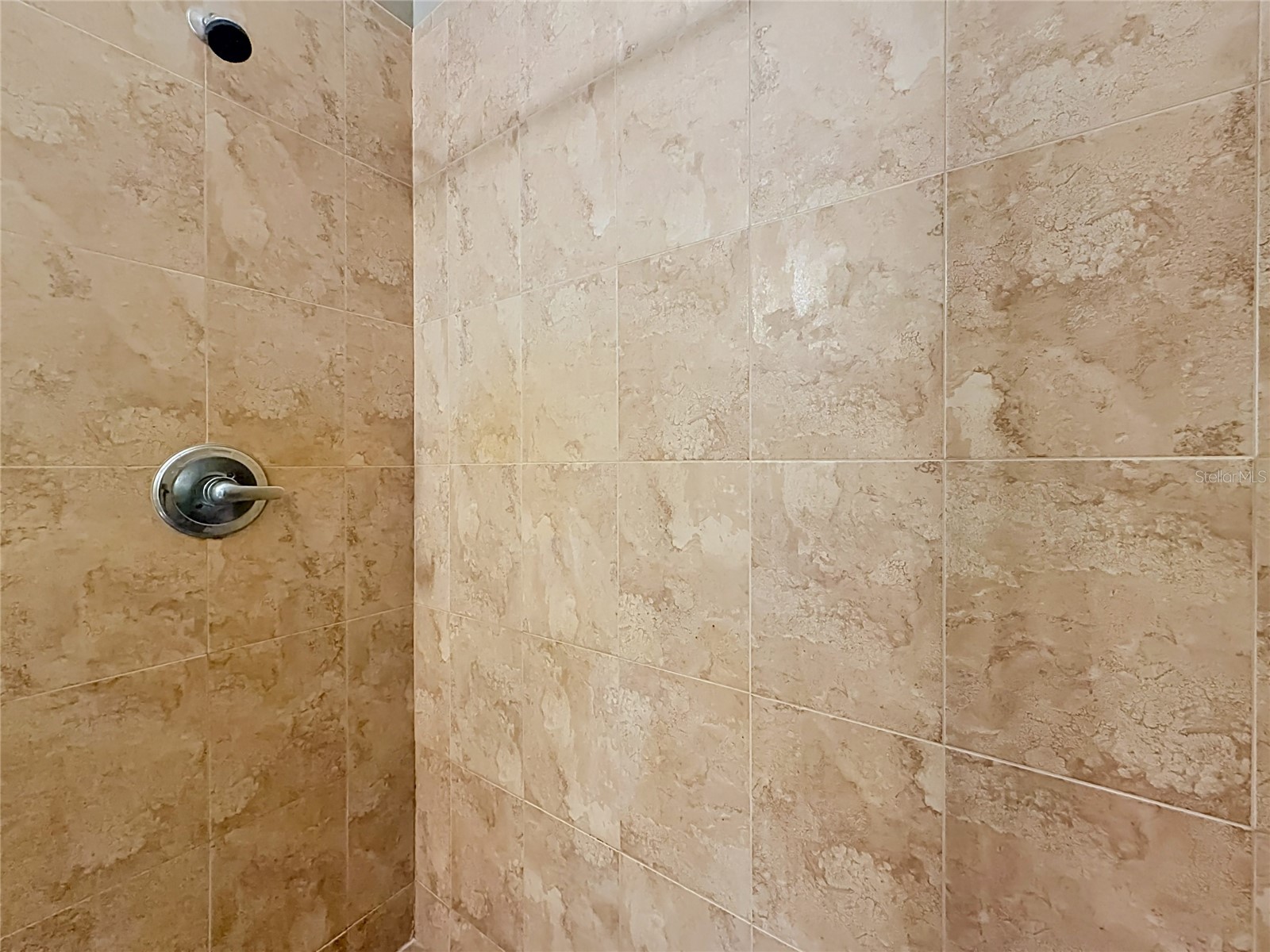 28549 Shirley Shores Road Tavares FL 32778 TB8510806 image29