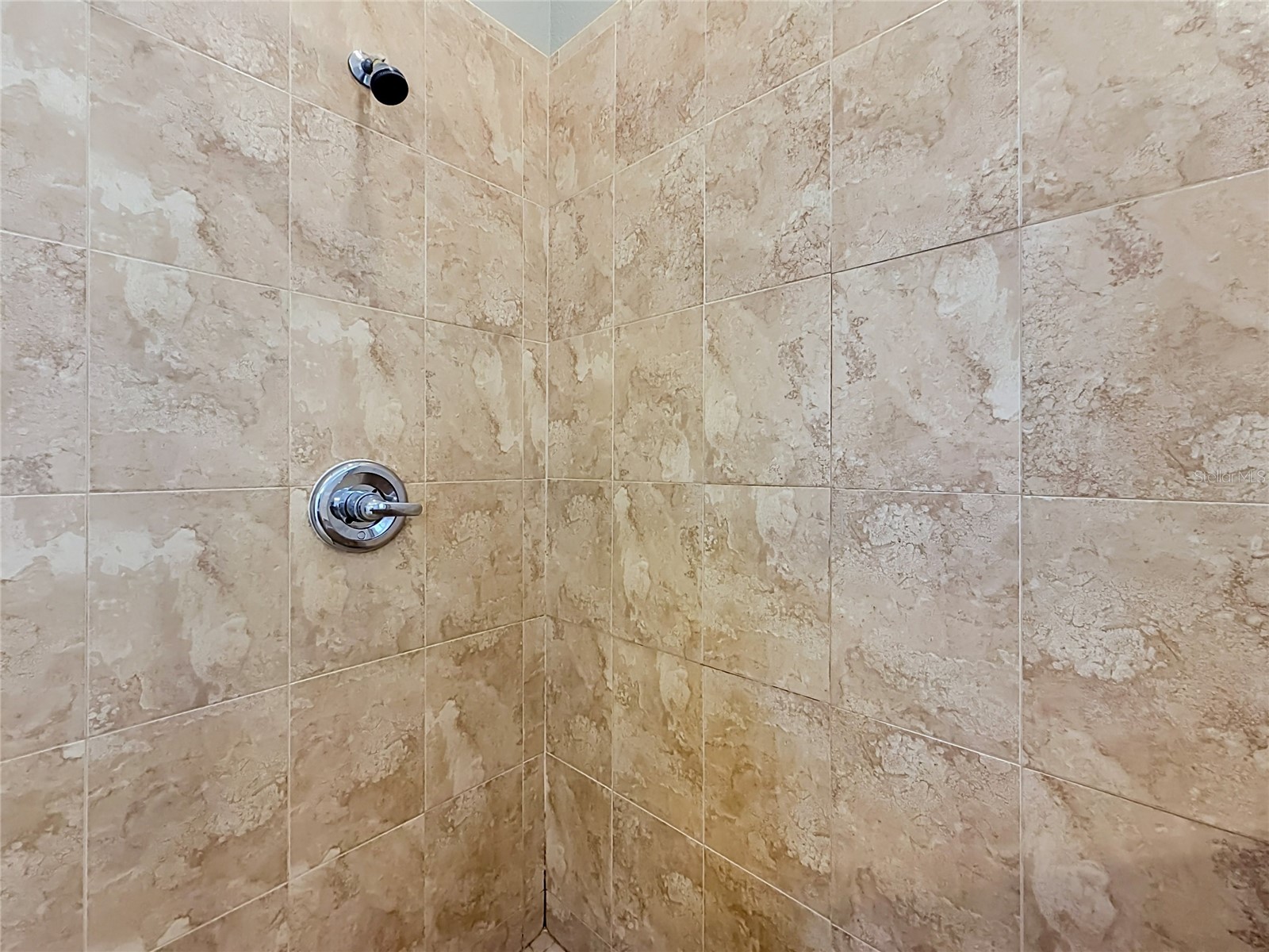28549 Shirley Shores Road Tavares FL 32778 TB8510806 image49