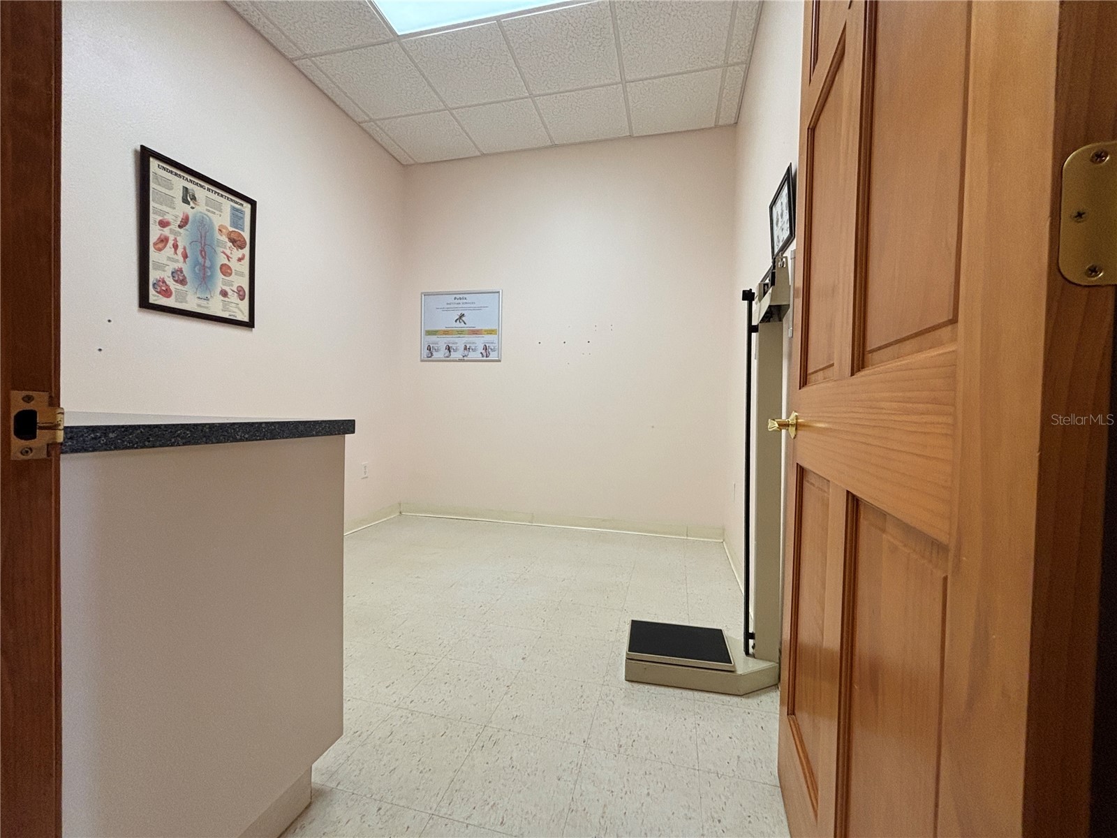 2855 Alt 19 Palm Harbor FL 34683 TB8374398 image10