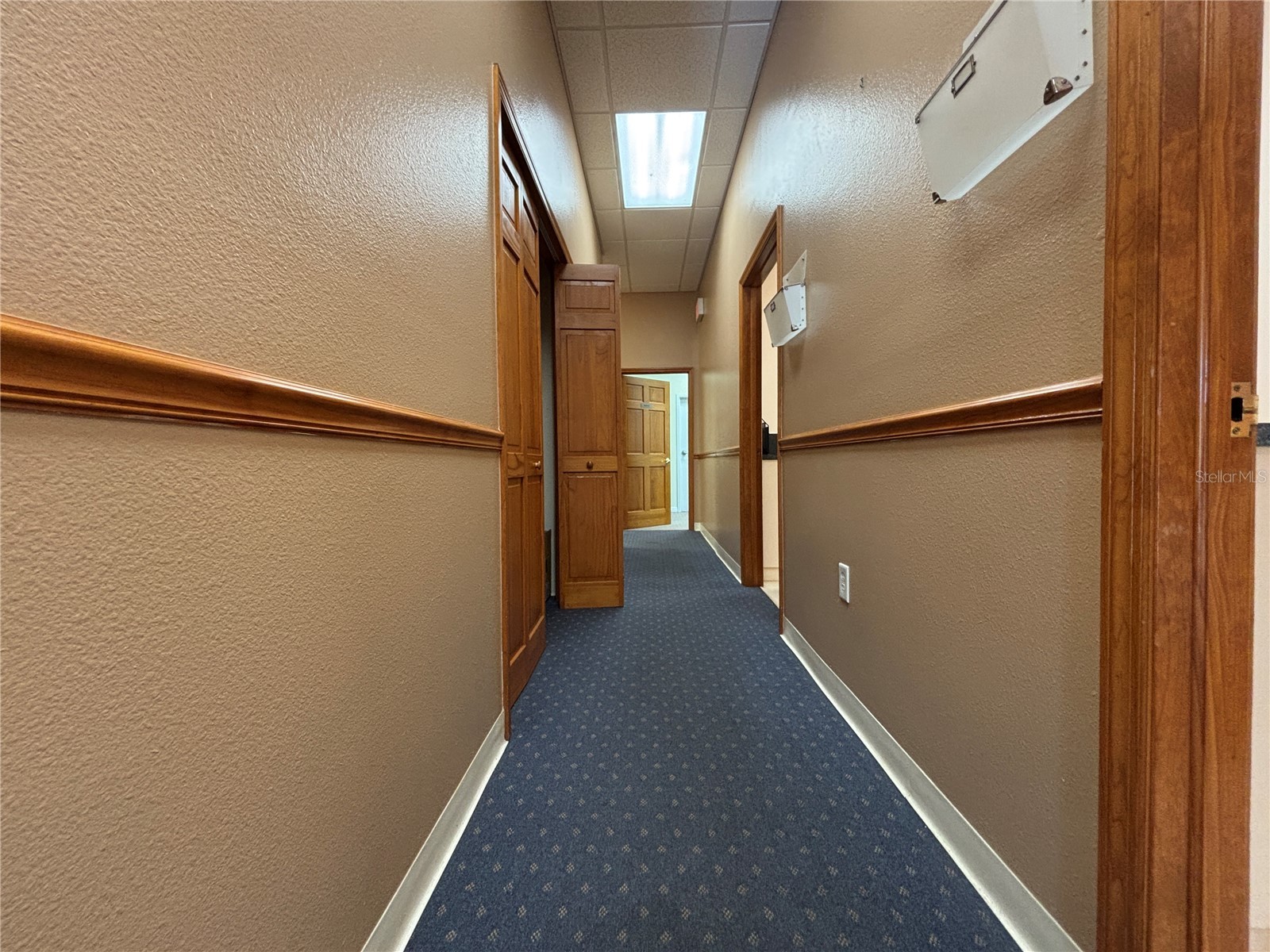 2855 Alt 19 Palm Harbor FL 34683 TB8374398 image12