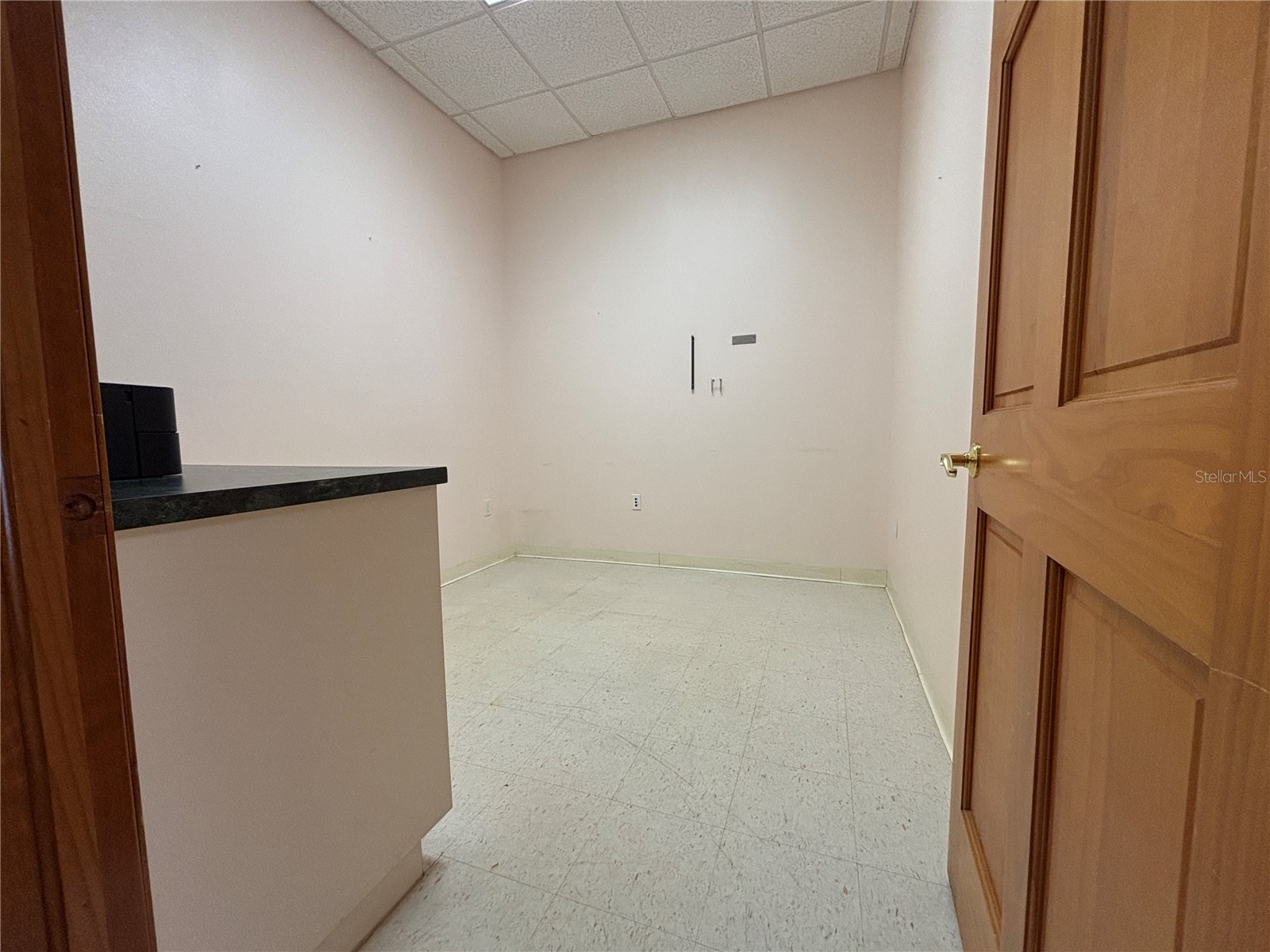 2855 Alt 19 Palm Harbor FL 34683 TB8374398 image13