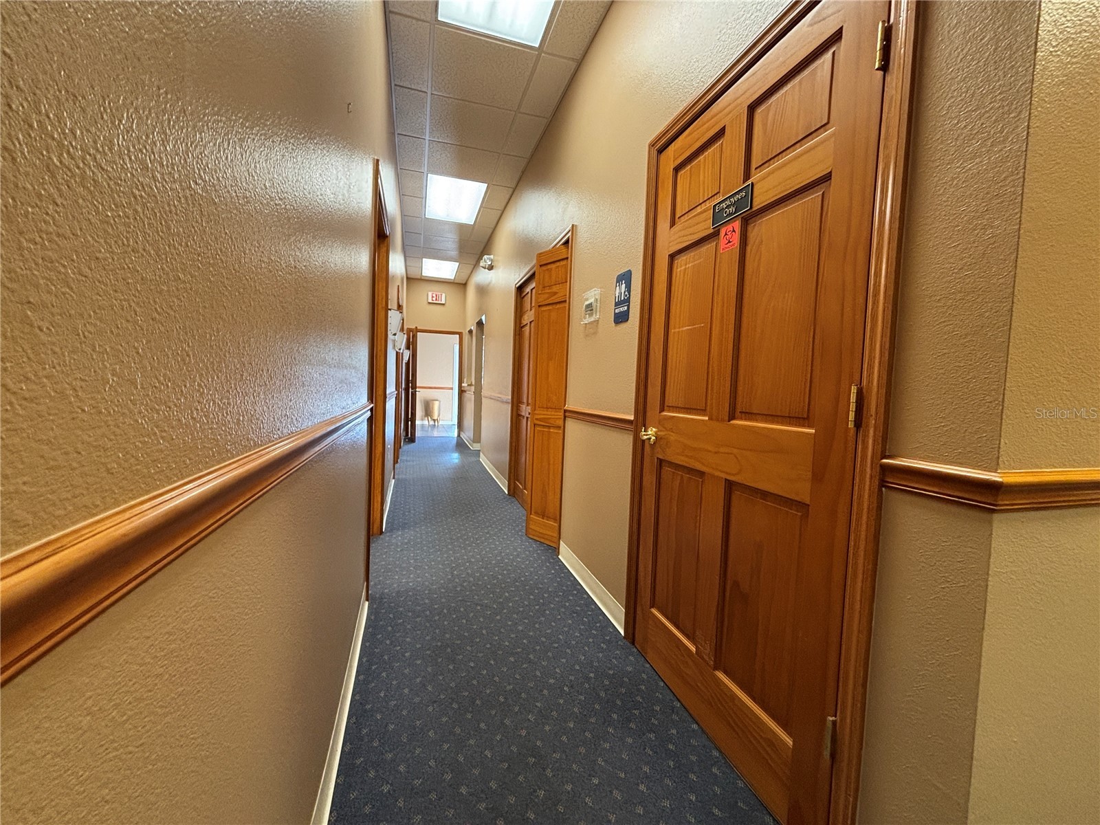 2855 Alt 19 Palm Harbor FL 34683 TB8374398 image17