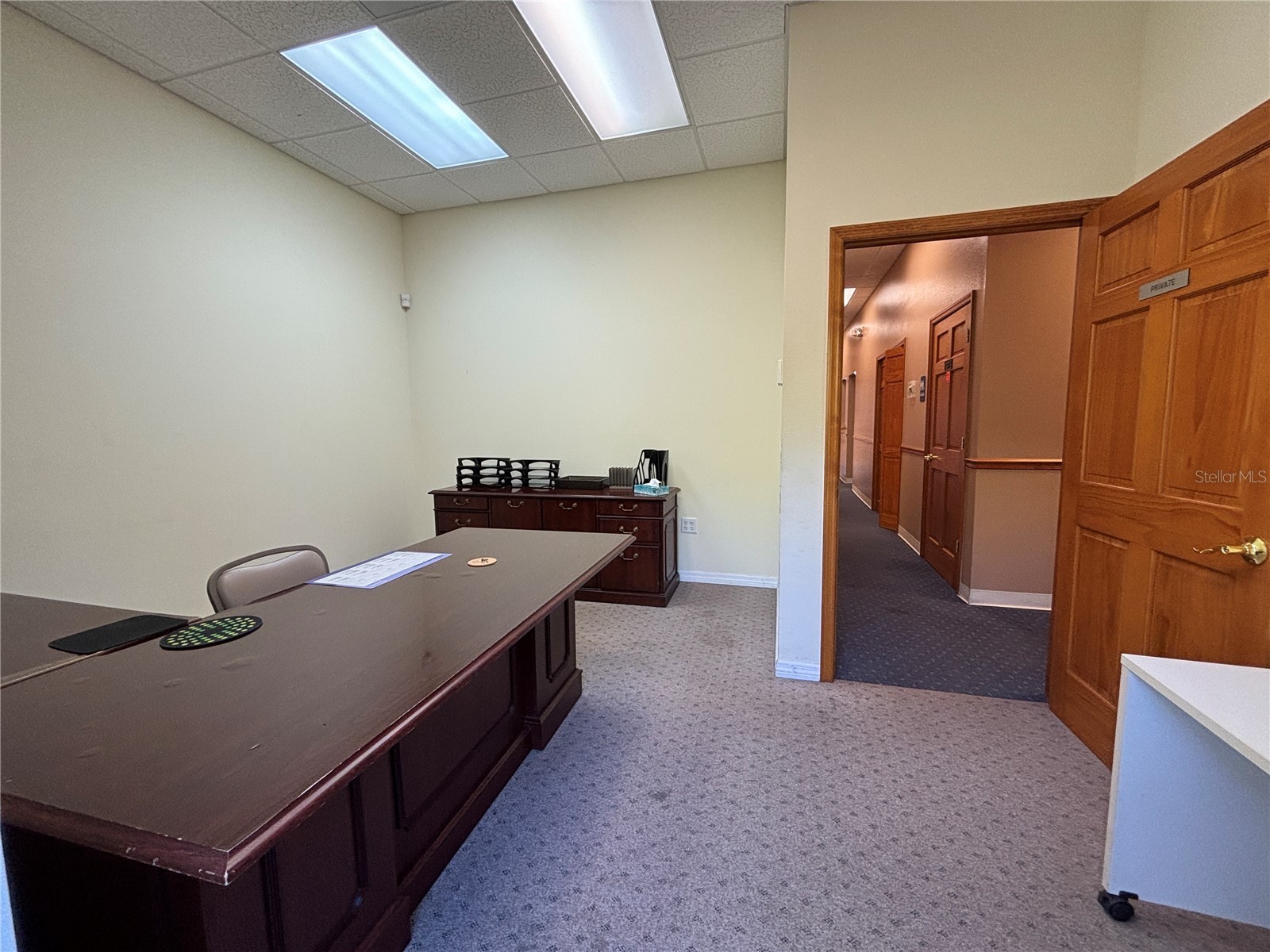 2855 Alt 19 Palm Harbor FL 34683 TB8374398 image21