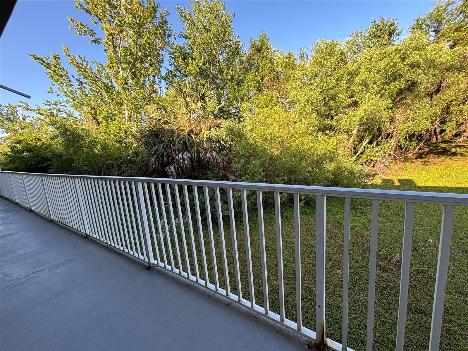 2855 Alt 19 Palm Harbor FL 34683 TB8374398 image22