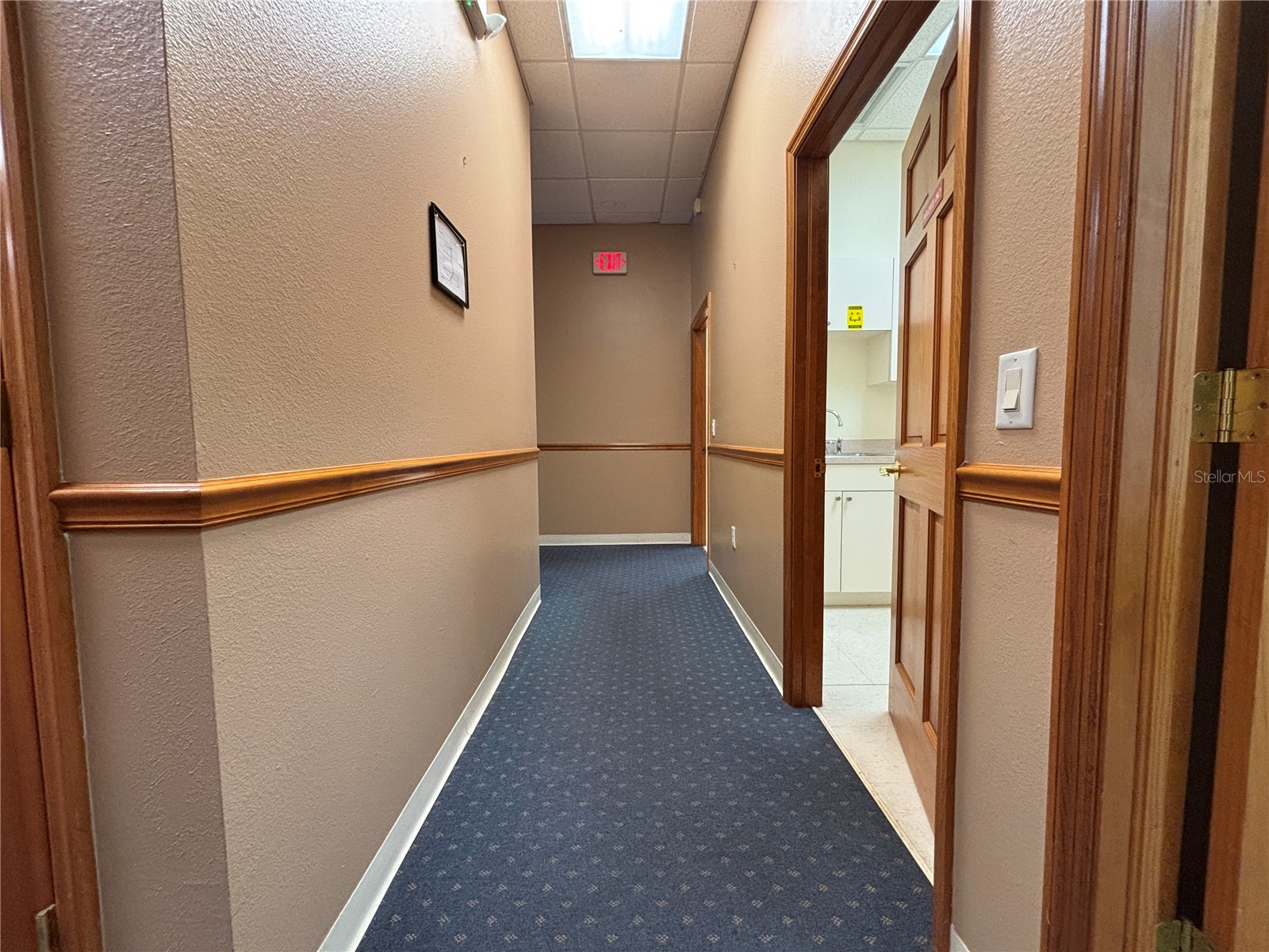 2855 Alt 19 Palm Harbor FL 34683 TB8374398 image23