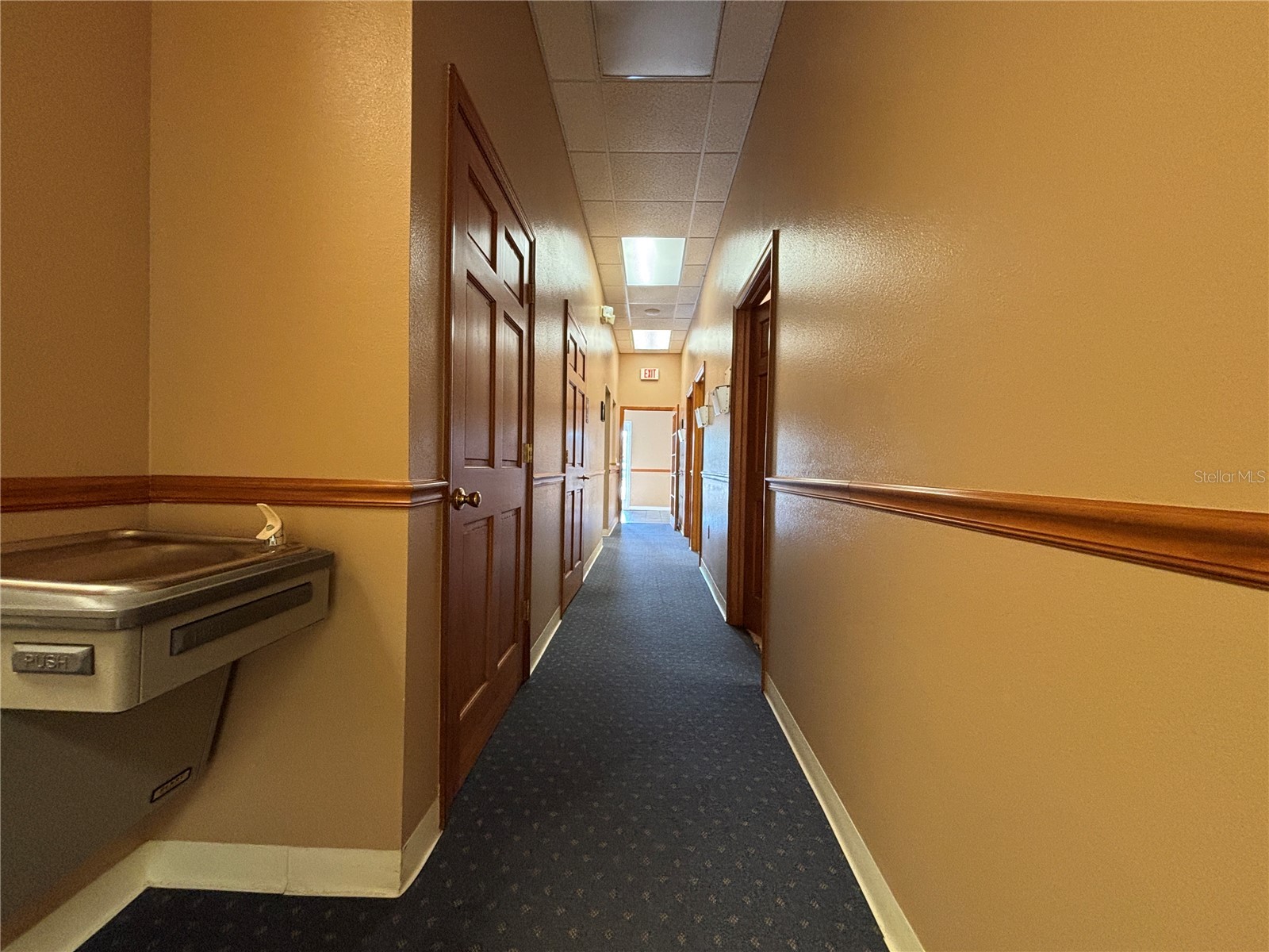 2855 Alt 19 Palm Harbor FL 34683 TB8374398 image29