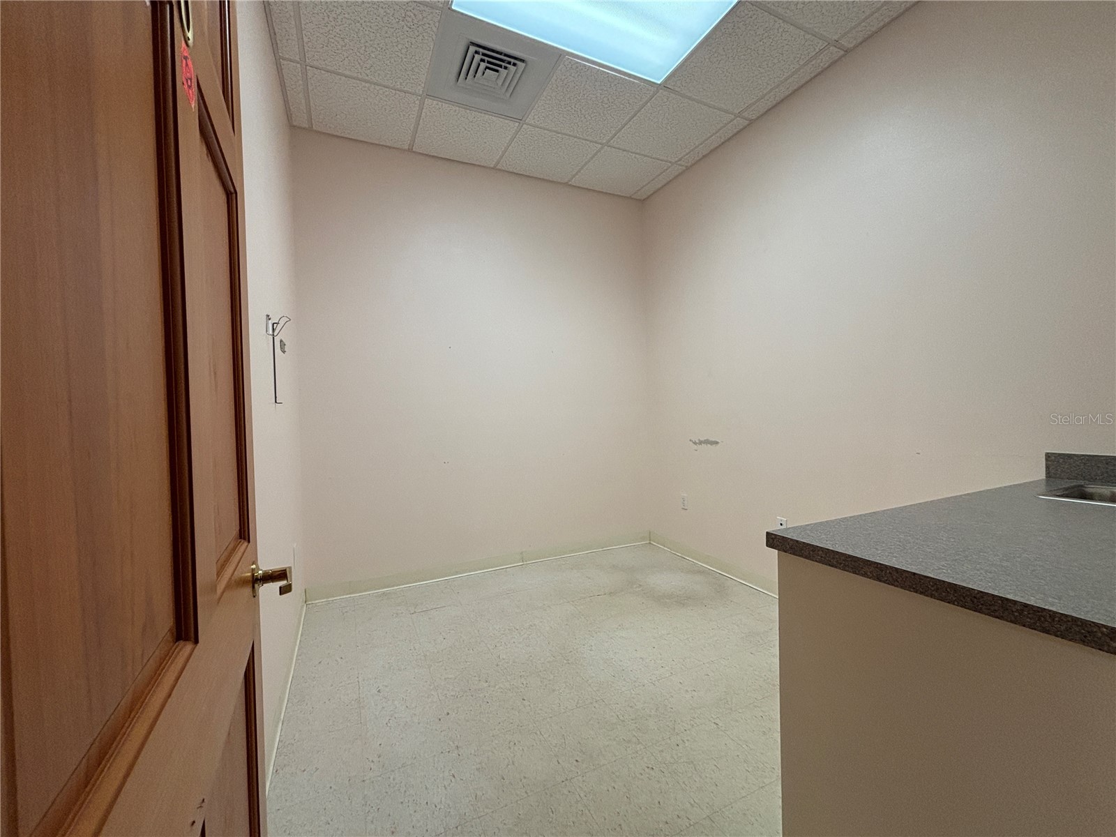 2855 Alt 19 Palm Harbor FL 34683 TB8374398 image31