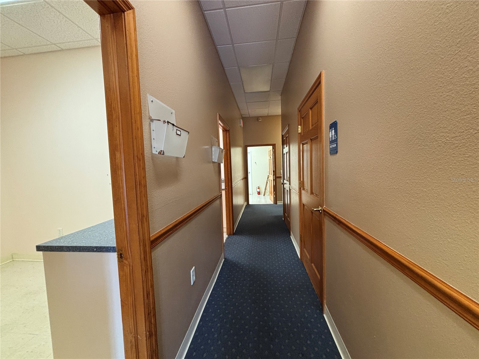 2855 Alt 19 Palm Harbor FL 34683 TB8374398 image33