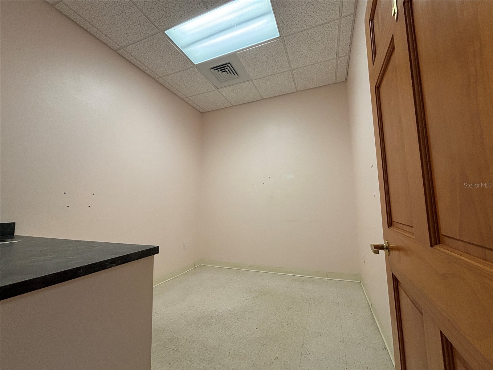 2855 Alt 19 Palm Harbor FL 34683 TB8374398 image37