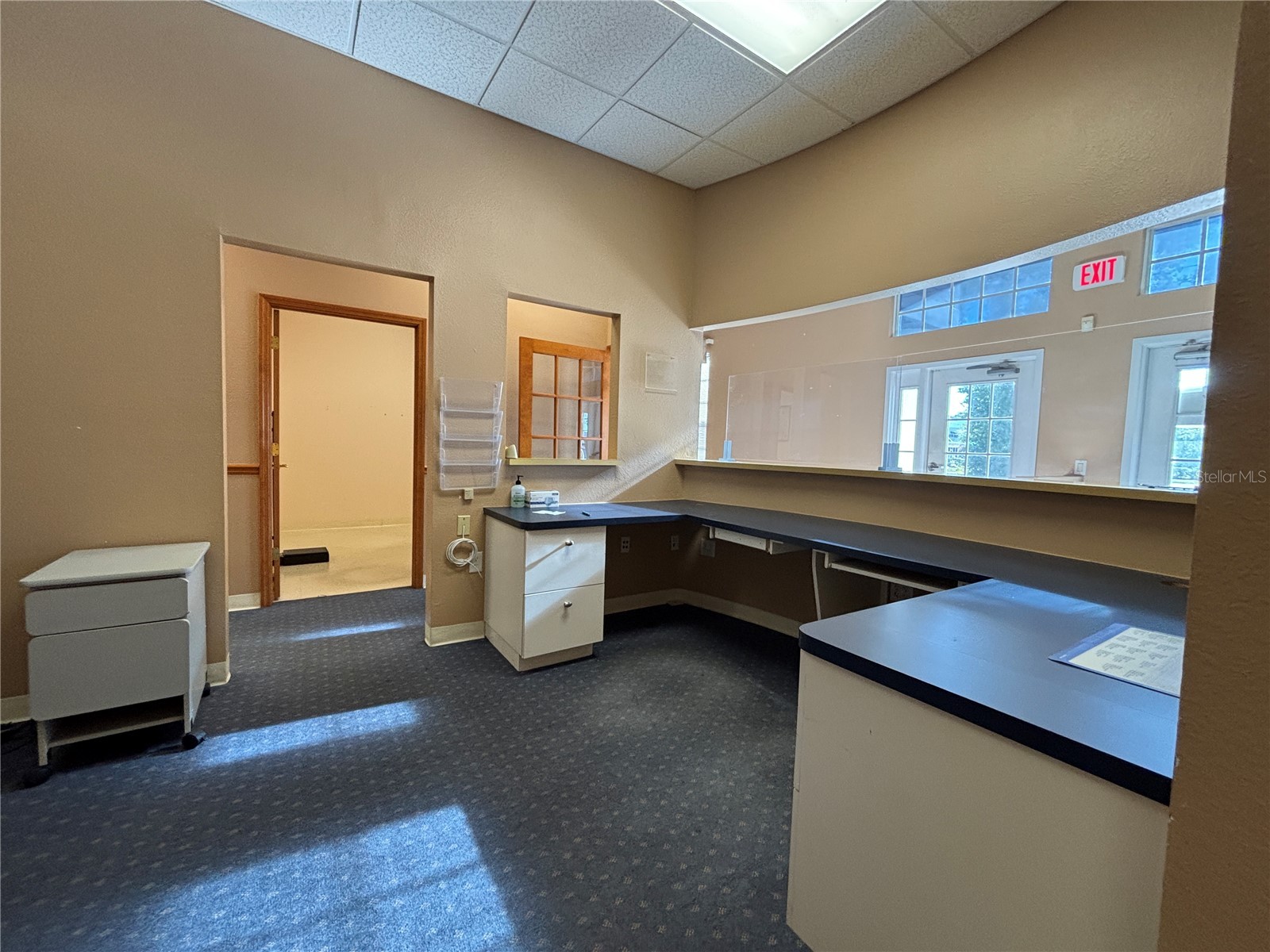 2855 Alt 19 Palm Harbor FL 34683 TB8374398 image39