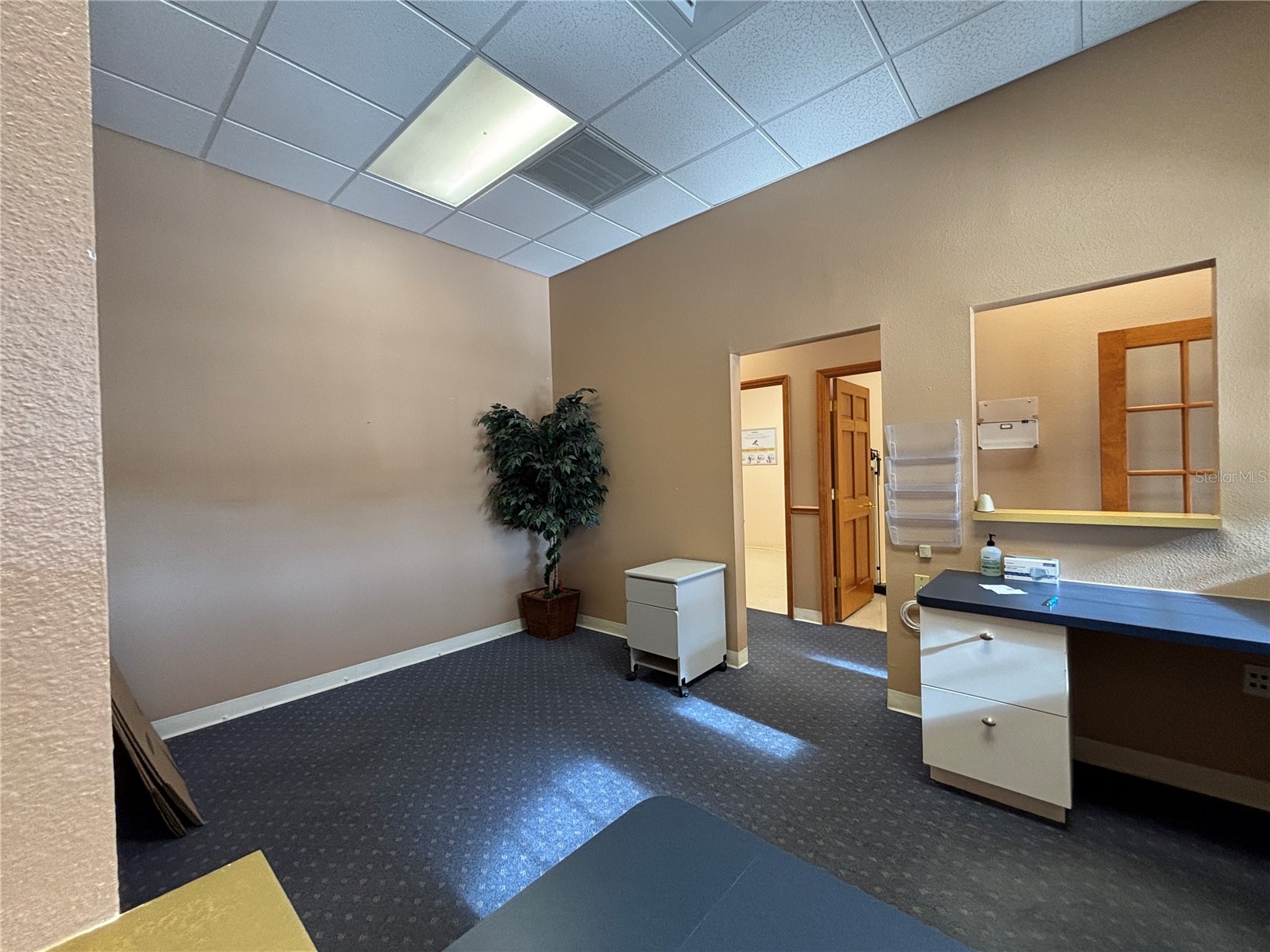 2855 Alt 19 Palm Harbor FL 34683 TB8374398 image40