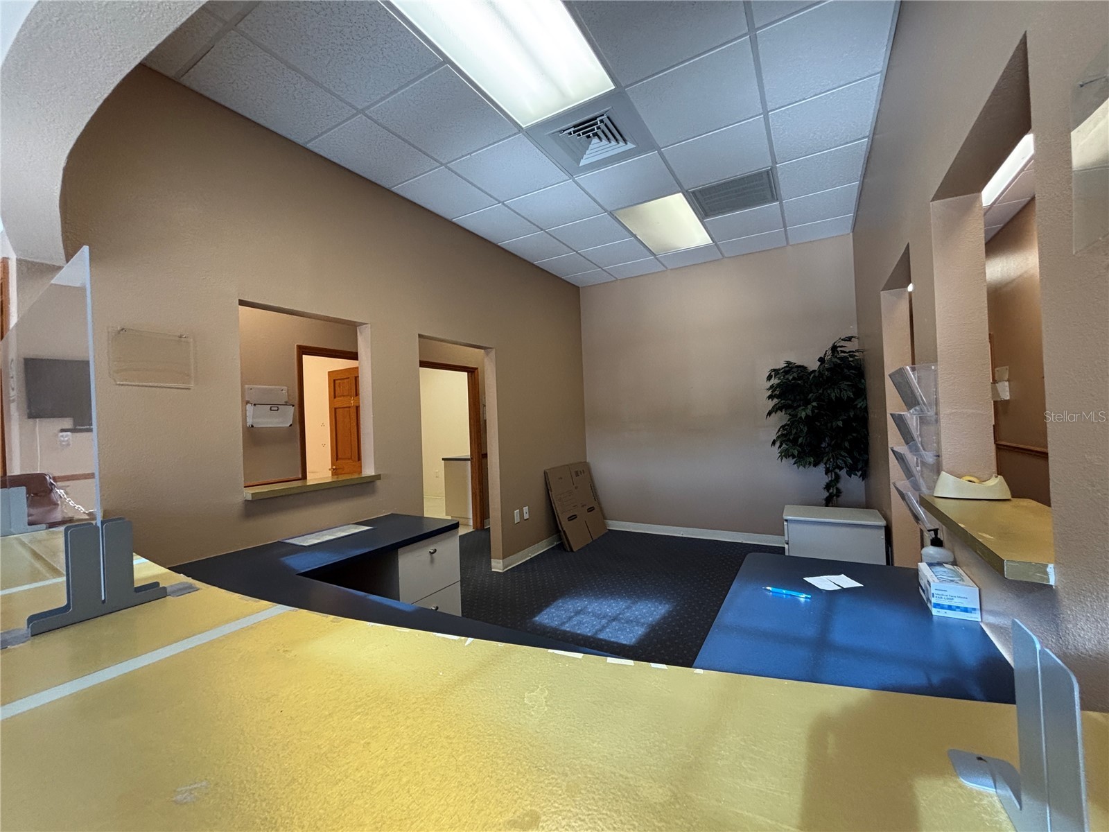 2855 Alt 19 Palm Harbor FL 34683 TB8374398 image41