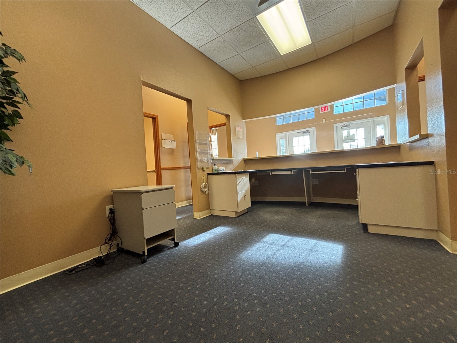 2855 Alt 19 Palm Harbor FL 34683 TB8374398 image42