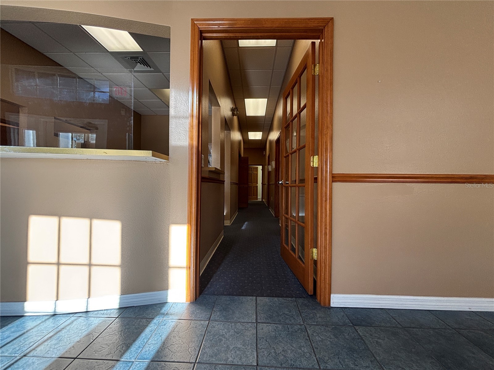 2855 Alt 19 Palm Harbor FL 34683 TB8374398 image7