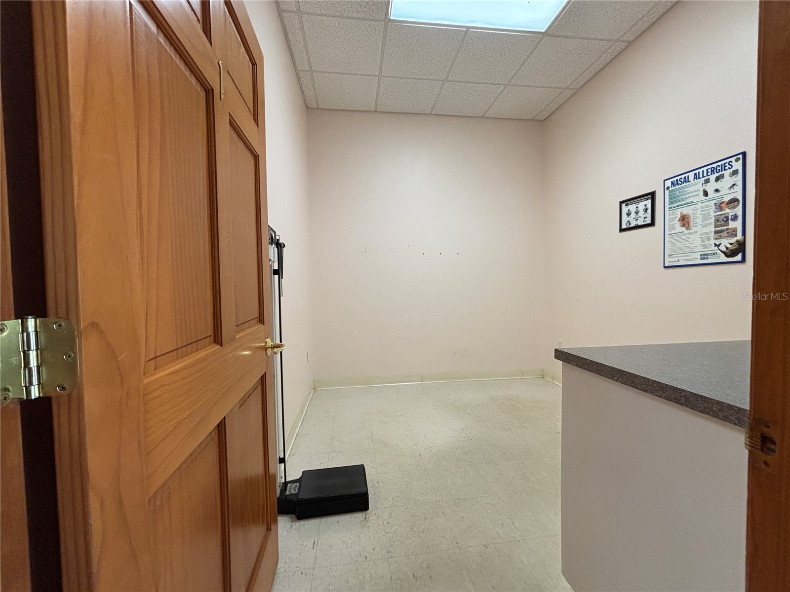 2855 Alt 19 Palm Harbor FL 34683 TB8374398 image8