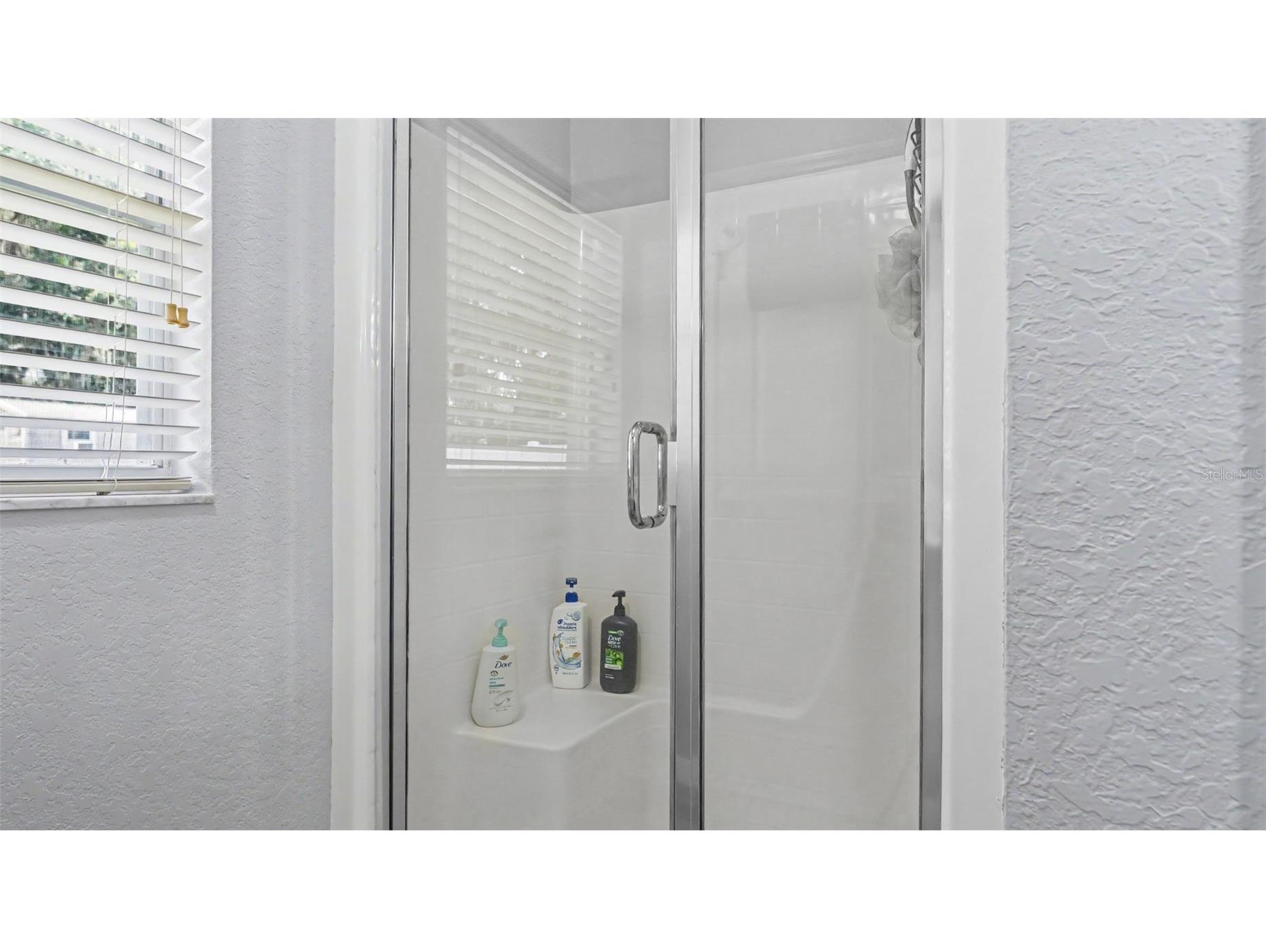 2855 Blackwater Oaks Drive Mulberry FL 33860 TB8527657 image24