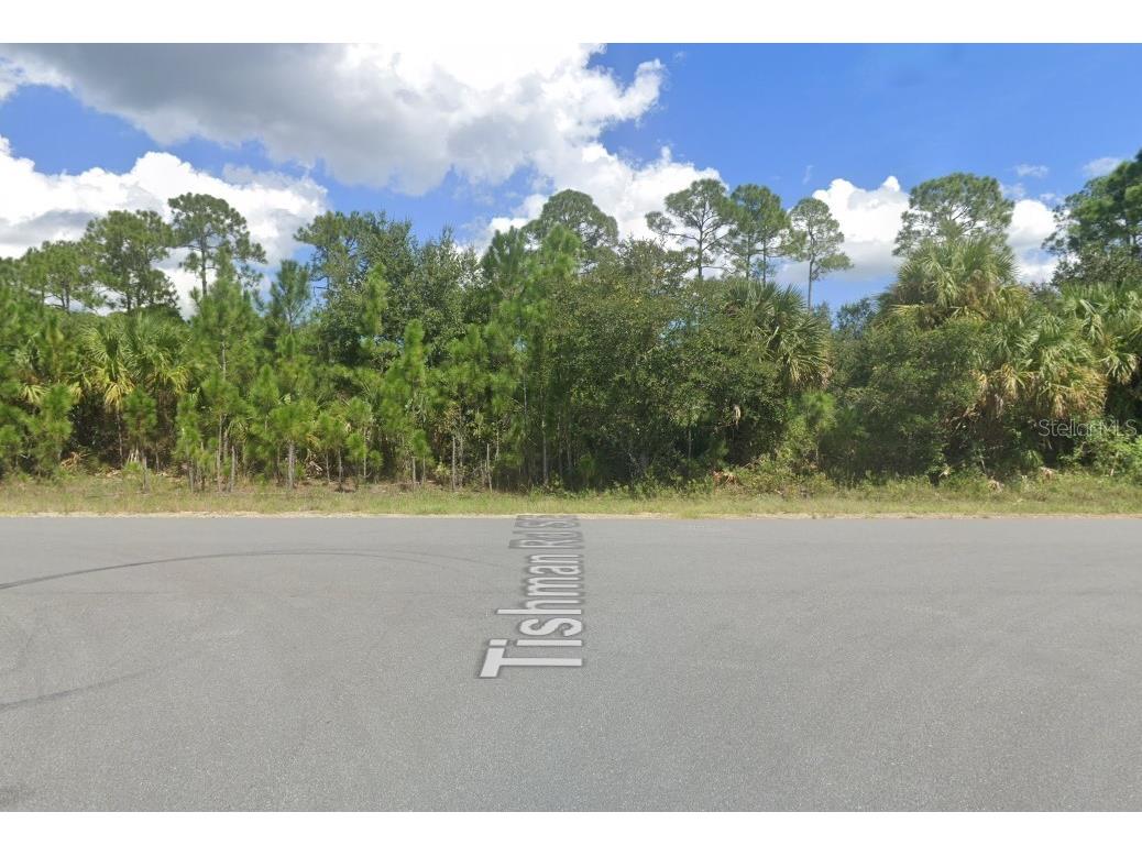 2855 Tivoli Avenue SE Palm Bay FL 32909 L4938191 image1