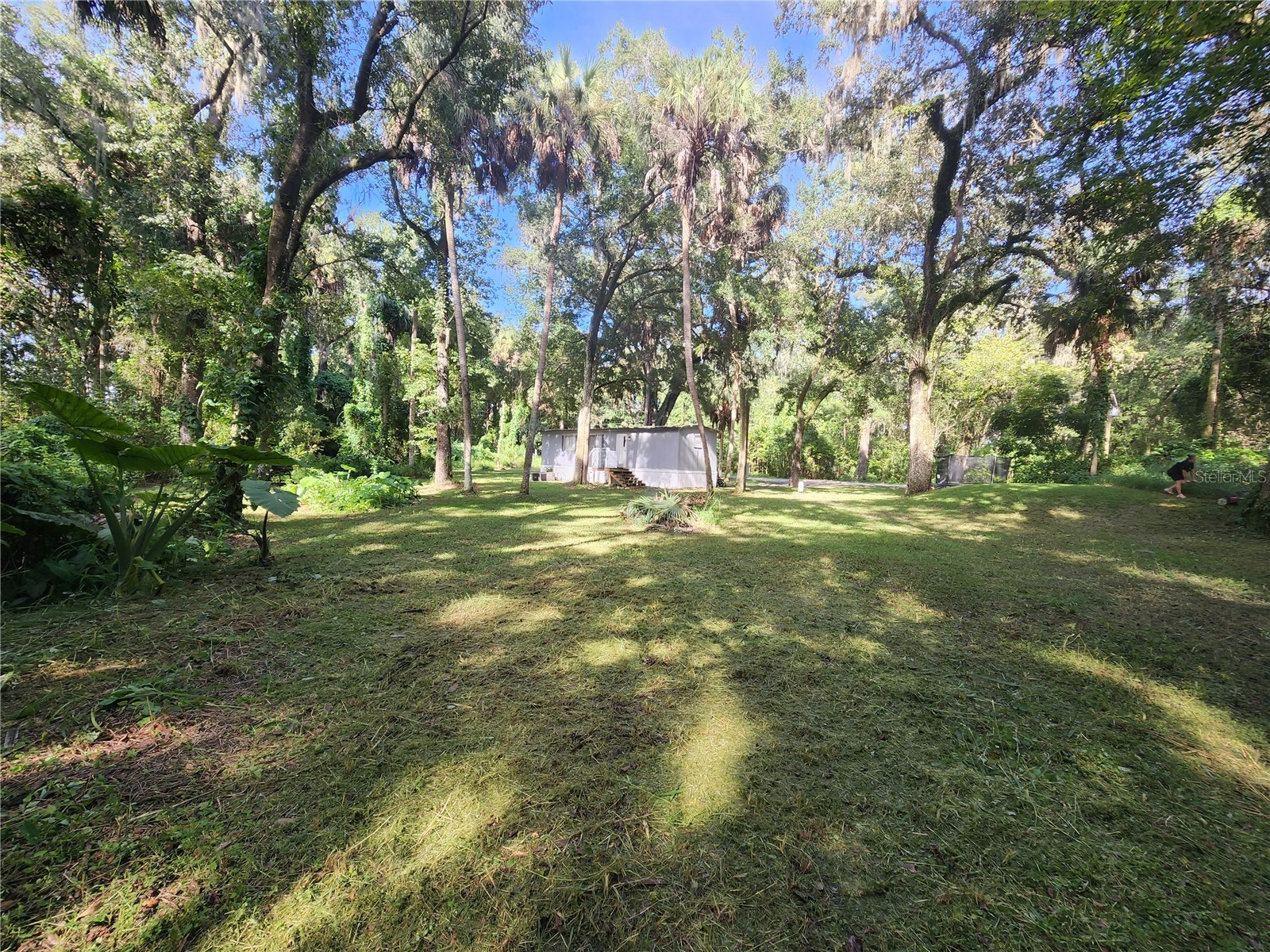 2855 Tom Brewer Lane Plant City FL 33566 TB8499785 image6