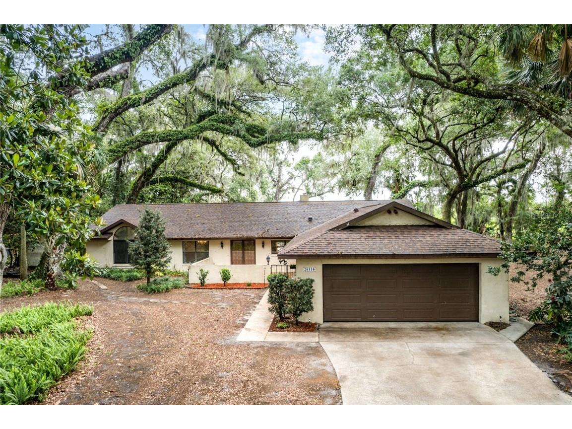 28550 Tammi Drive Tavares FL 32778 - TAMMI CANAL/HARRIS CHAIN LAKES G5068126 image1