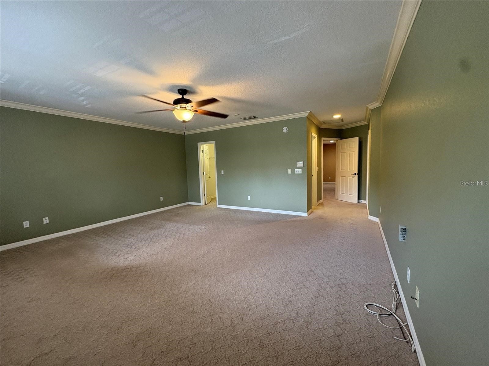 2856 Bayshore Trails Drive Tampa FL 33611 TB8500337 image11