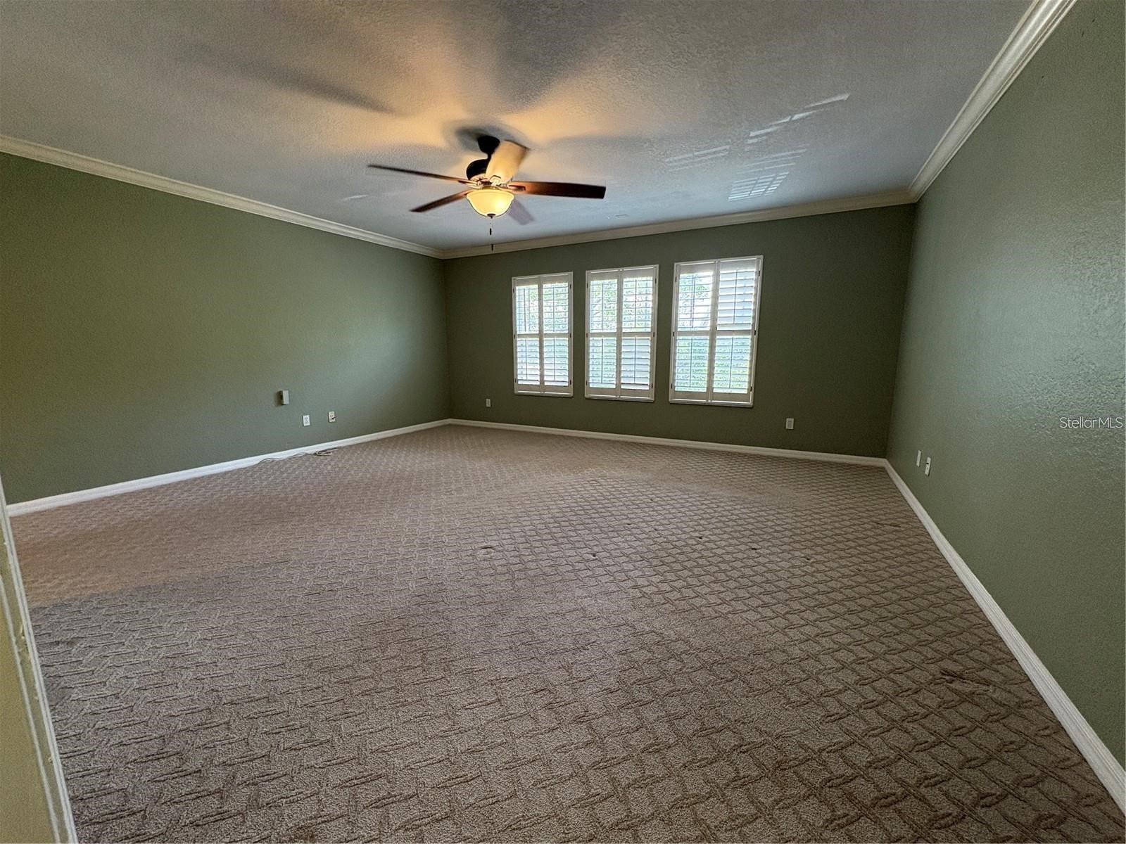 2856 Bayshore Trails Drive Tampa FL 33611 TB8500337 image12