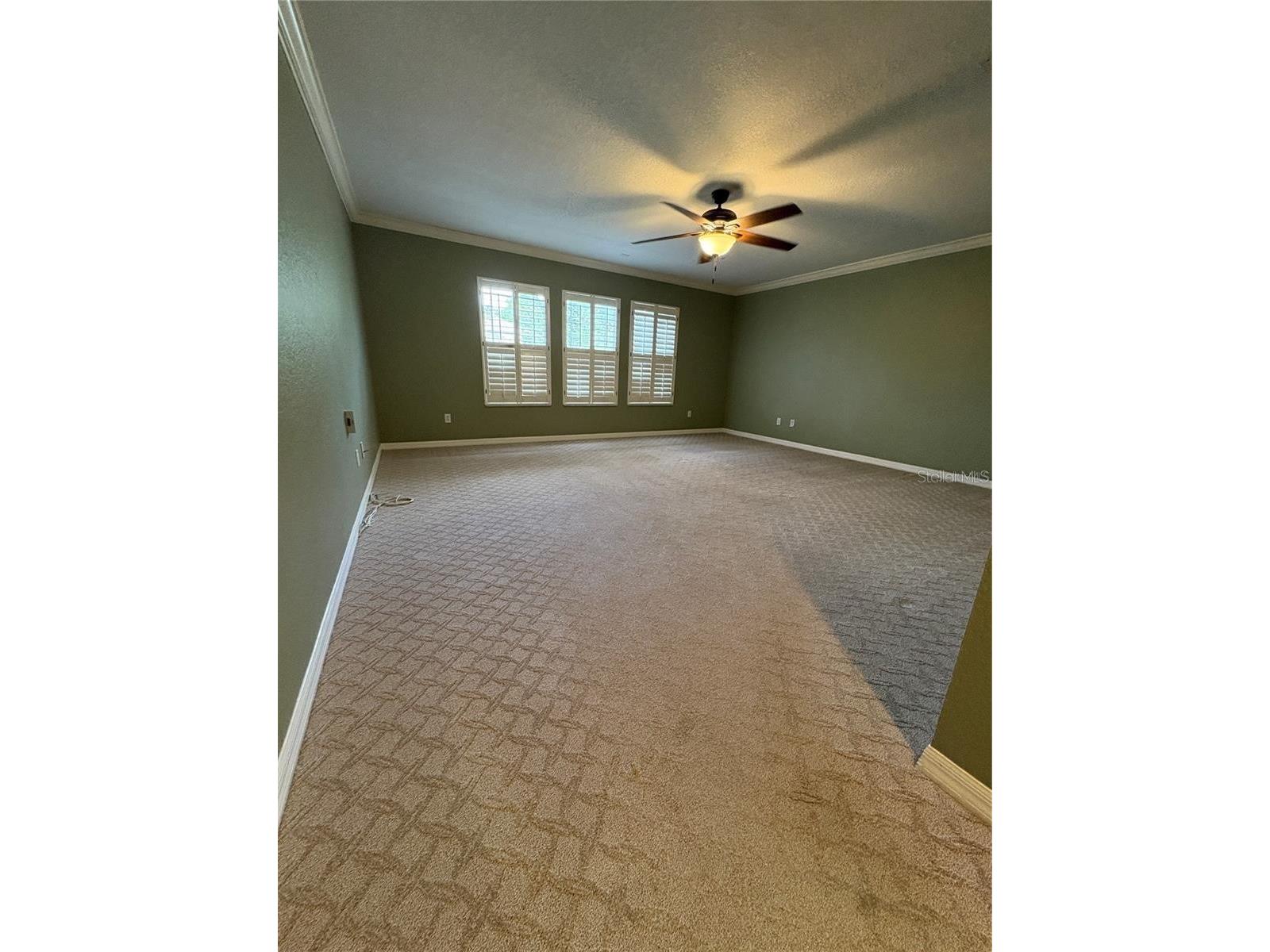 2856 Bayshore Trails Drive Tampa FL 33611 TB8500337 image13