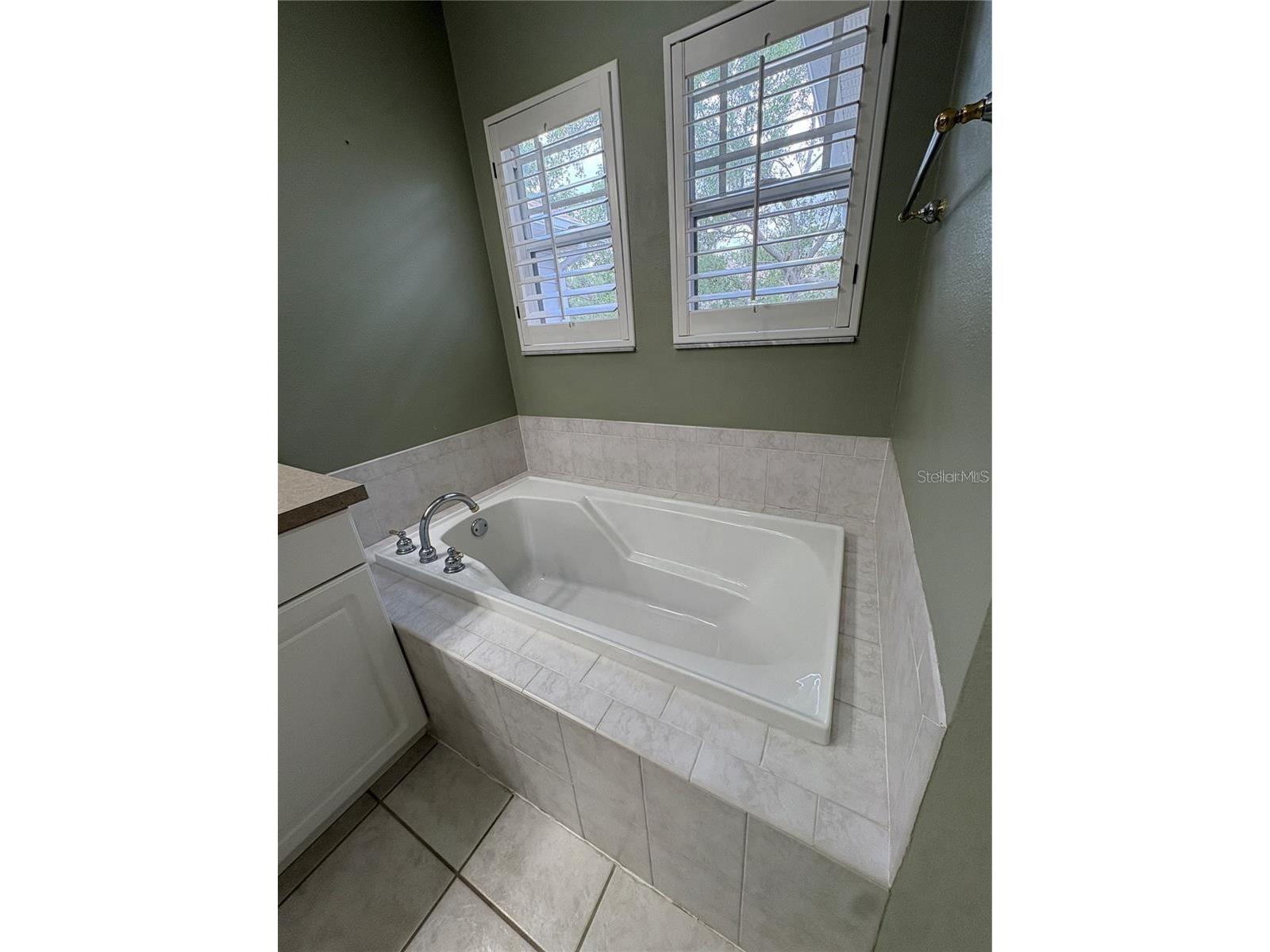 2856 Bayshore Trails Drive Tampa FL 33611 TB8500337 image14