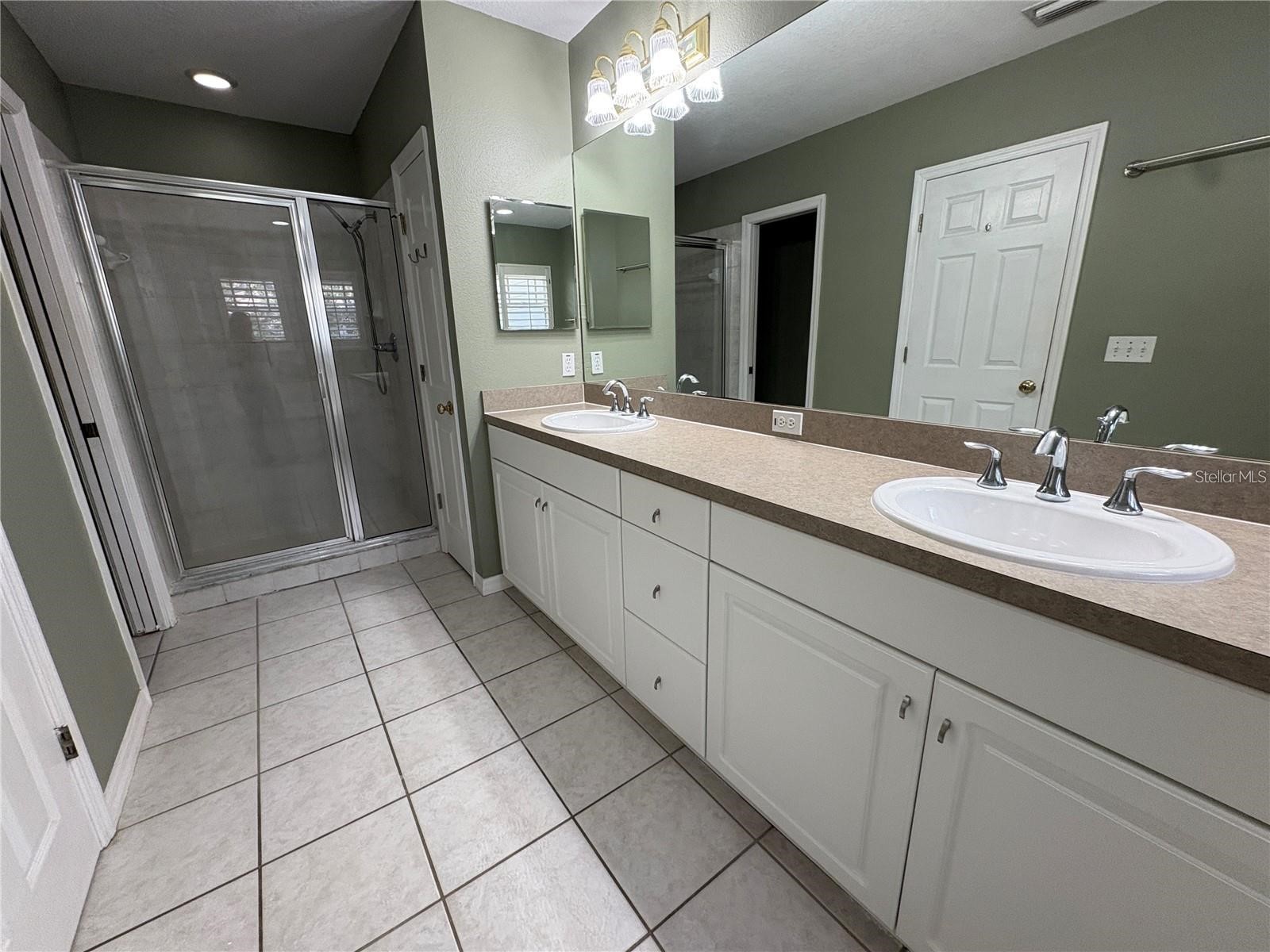 2856 Bayshore Trails Drive Tampa FL 33611 TB8500337 image17