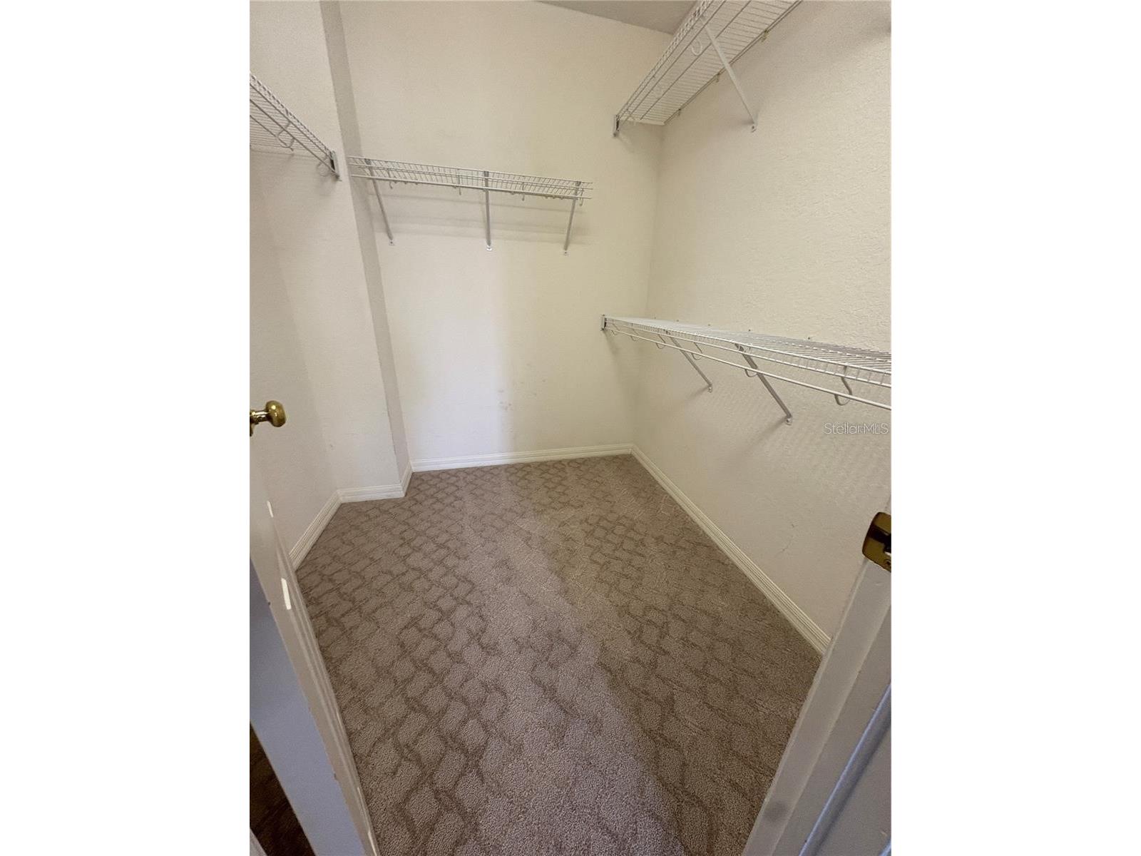 2856 Bayshore Trails Drive Tampa FL 33611 TB8500337 image18