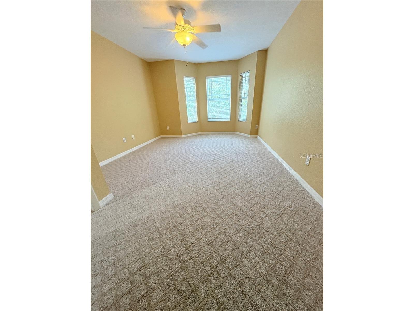 2856 Bayshore Trails Drive Tampa FL 33611 TB8500337 image21