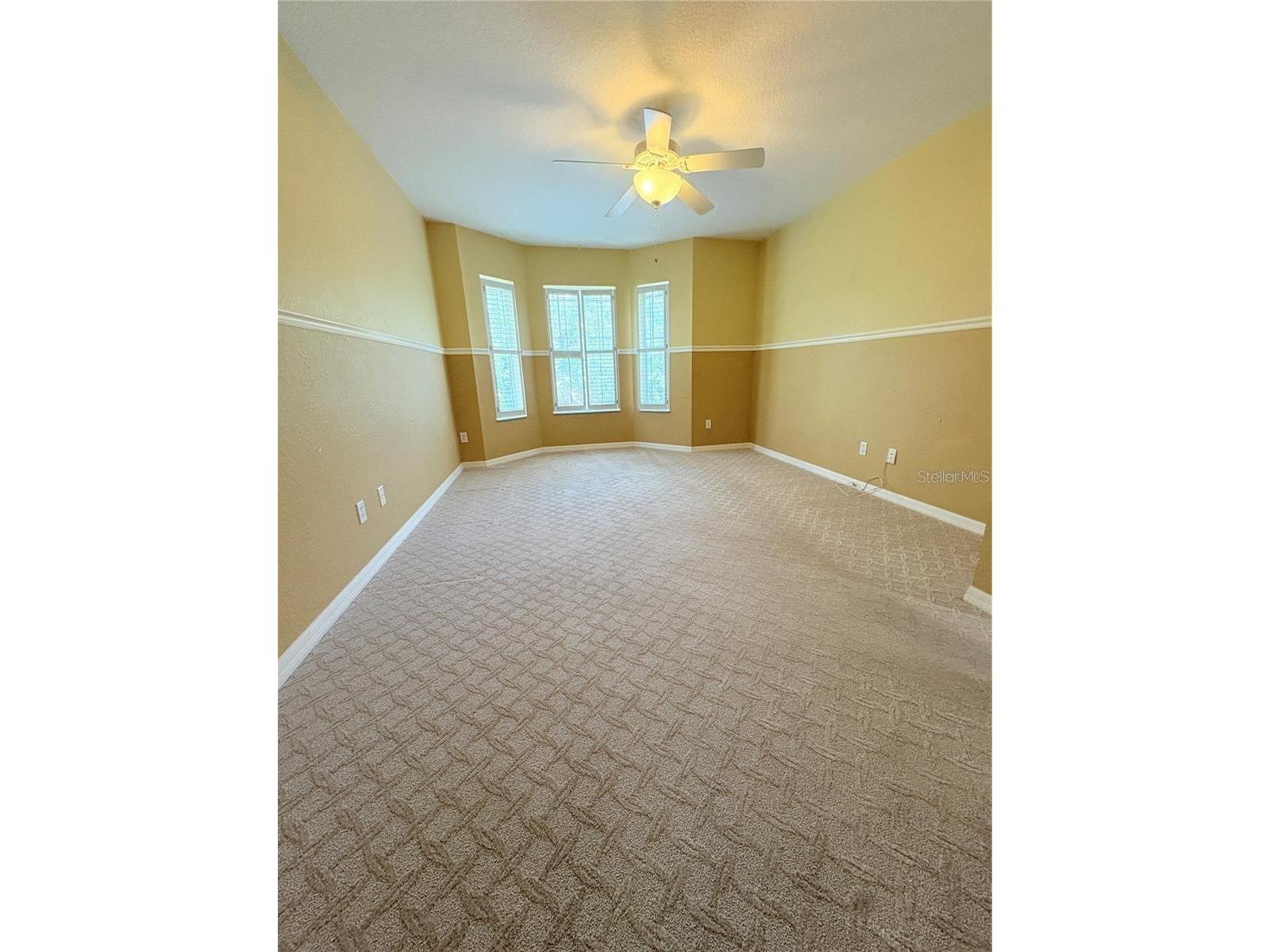 2856 Bayshore Trails Drive Tampa FL 33611 TB8500337 image22