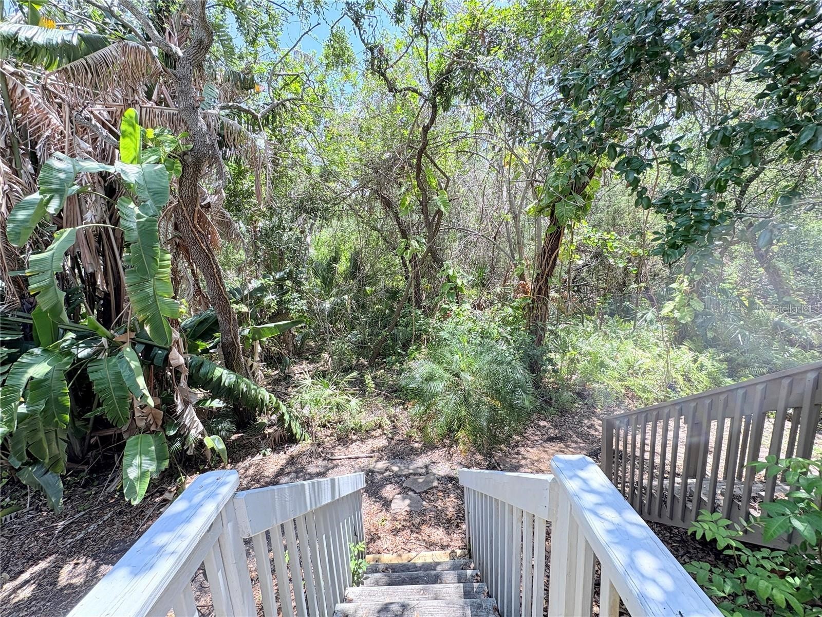 2856 Bayshore Trails Drive Tampa FL 33611 TB8500337 image27