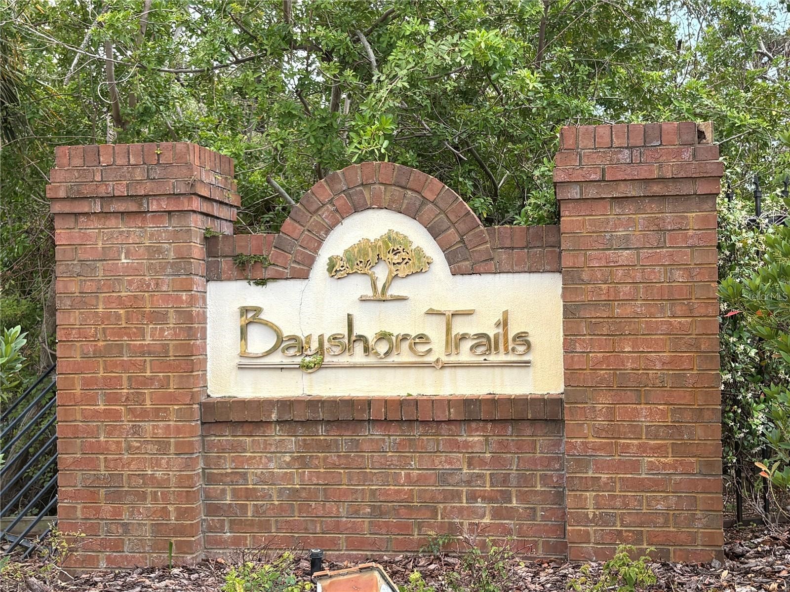 2856 Bayshore Trails Drive Tampa FL 33611 TB8500337 image29