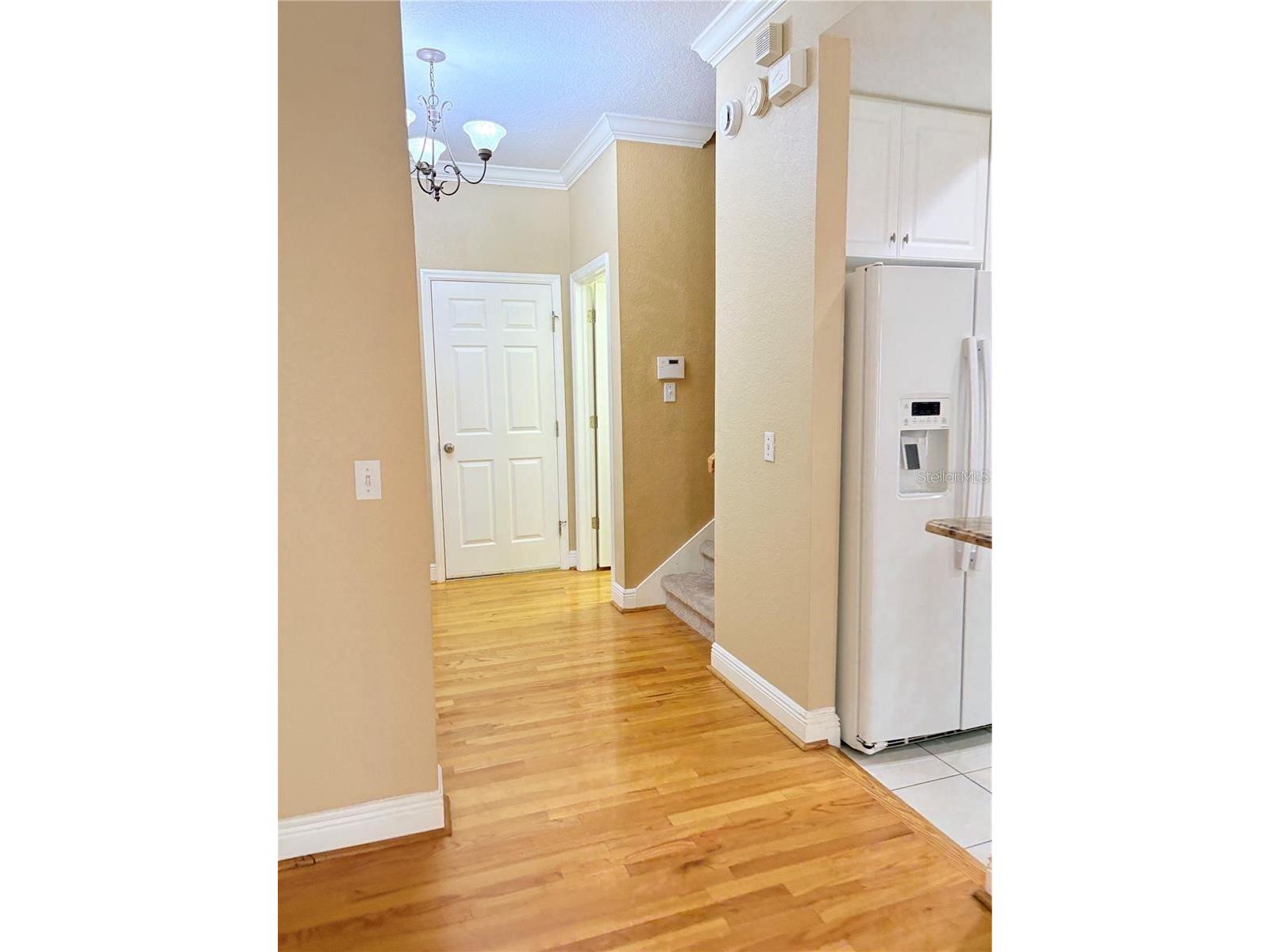 2856 Bayshore Trails Drive Tampa FL 33611 TB8500337 image3