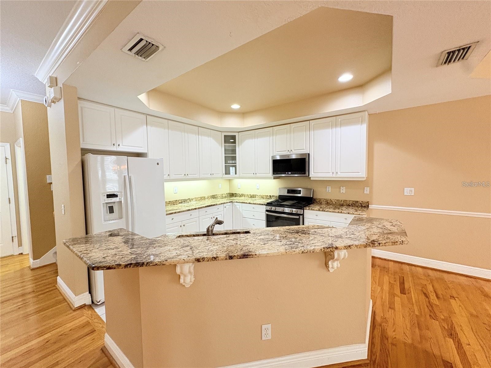 2856 Bayshore Trails Drive Tampa FL 33611 TB8500337 image7