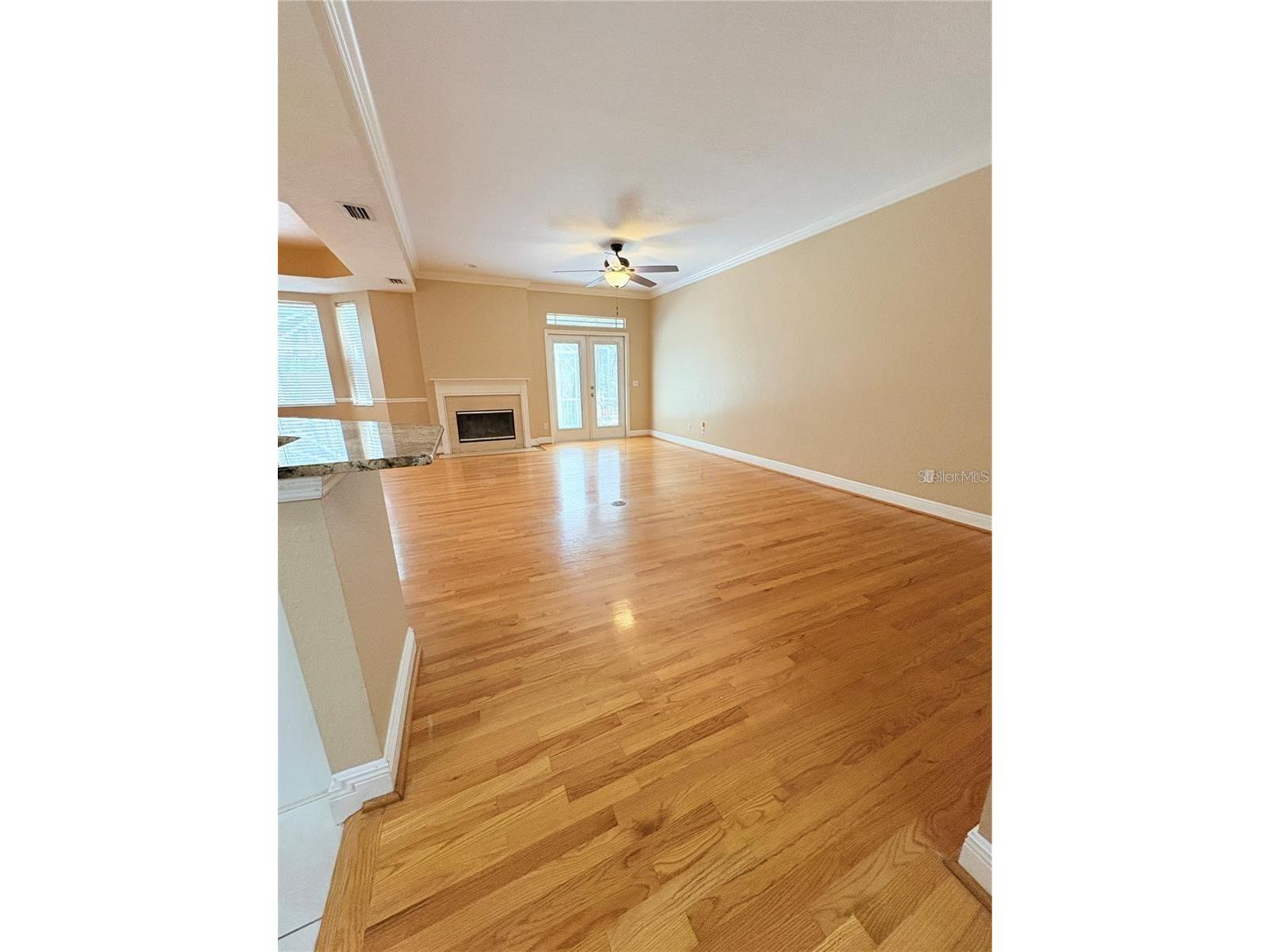 2856 Bayshore Trails Drive Tampa FL 33611 TB8500337 image8