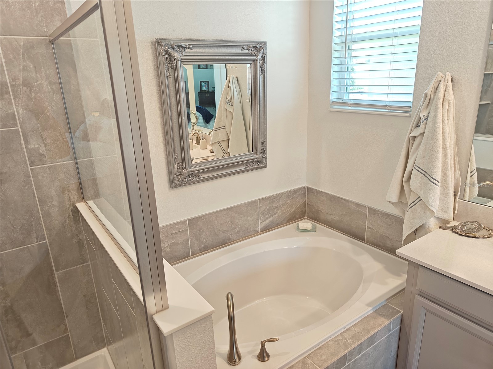 2856 Camden Way Davenport FL 33837 O6411062 image17