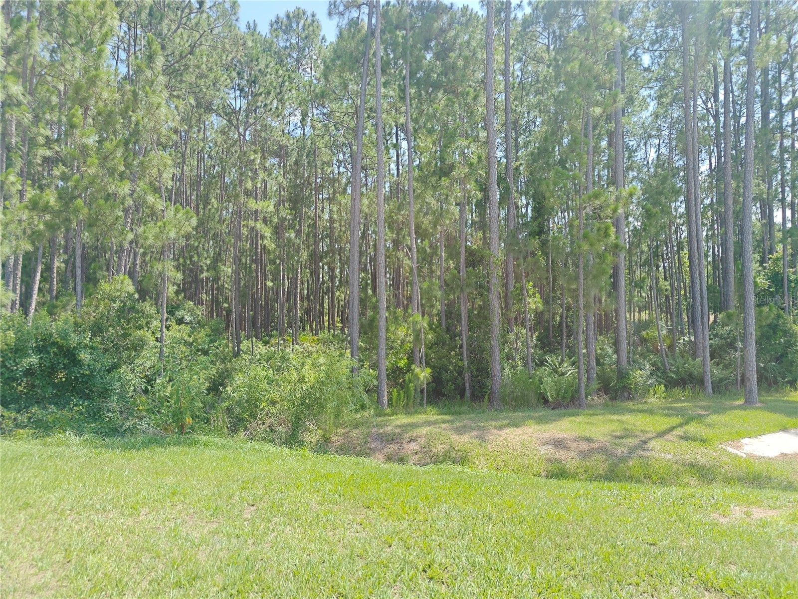 2856 Camden Way Davenport FL 33837 O6411062 image45